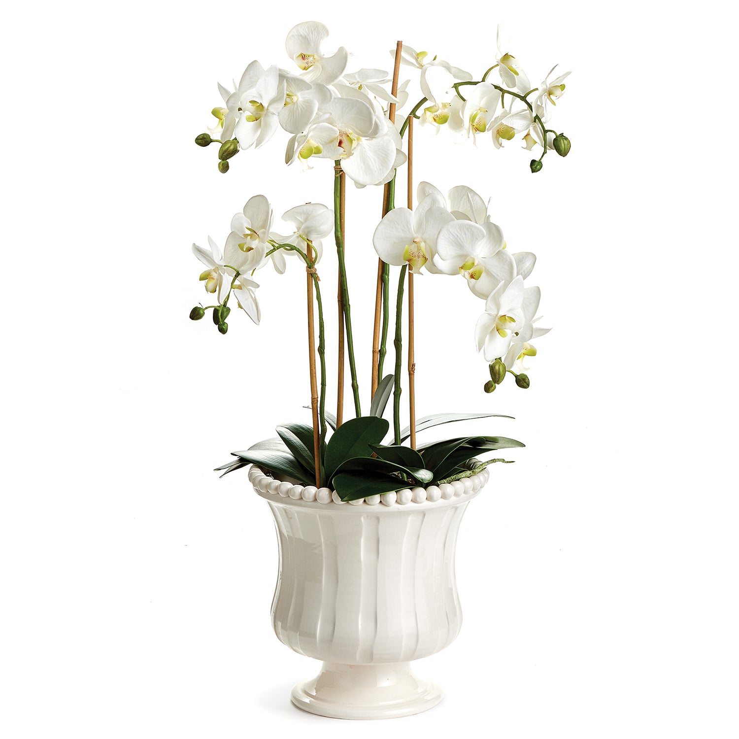 Coletta Flared Vase