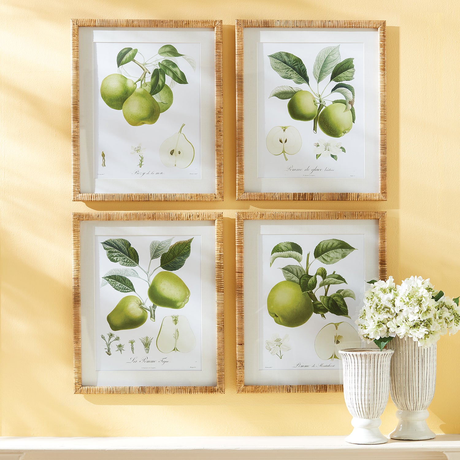 Fruit Study Wall Art Set of 4