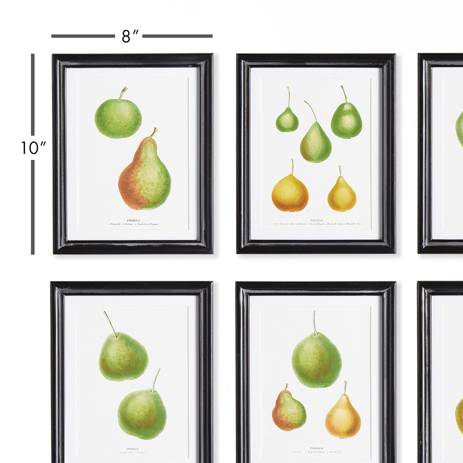 Pear Study Wall Art Set of 6