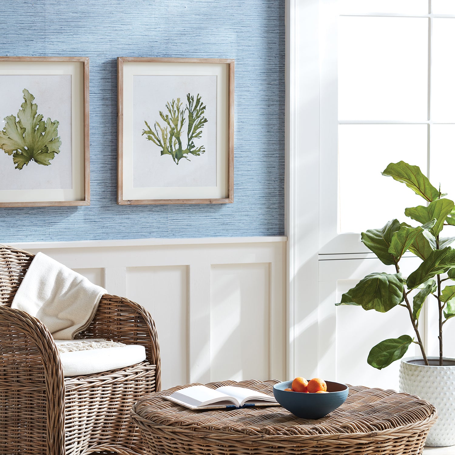 Kelp Wall Art Set of 6