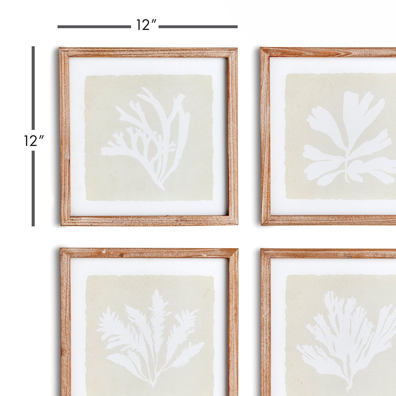 Seaweed Petite Wall Art Set of 4