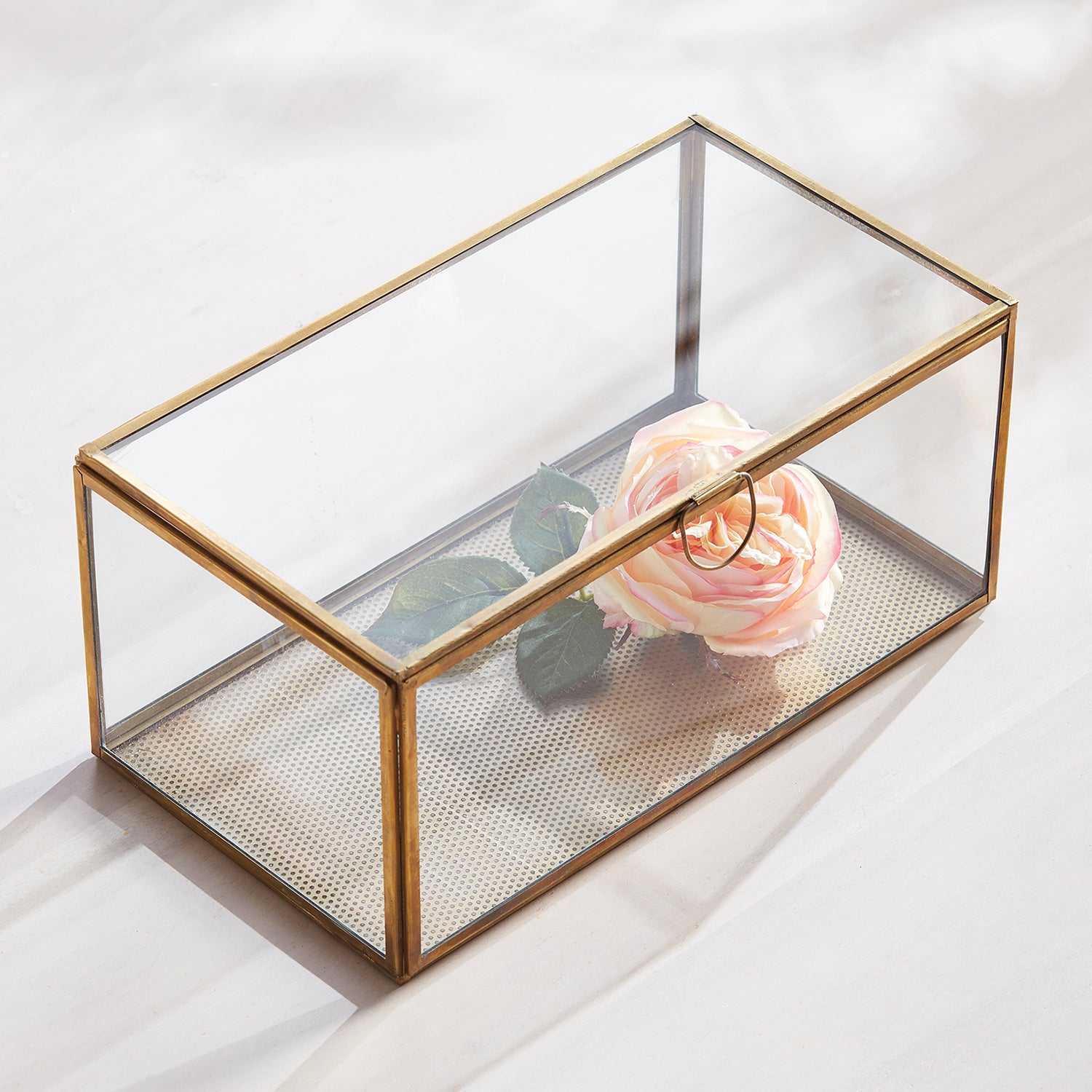 Arwen Rectangular Display Box