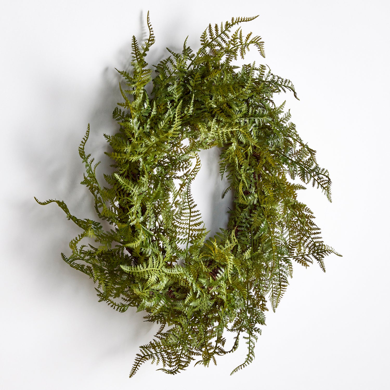 Fern 18in Wreath