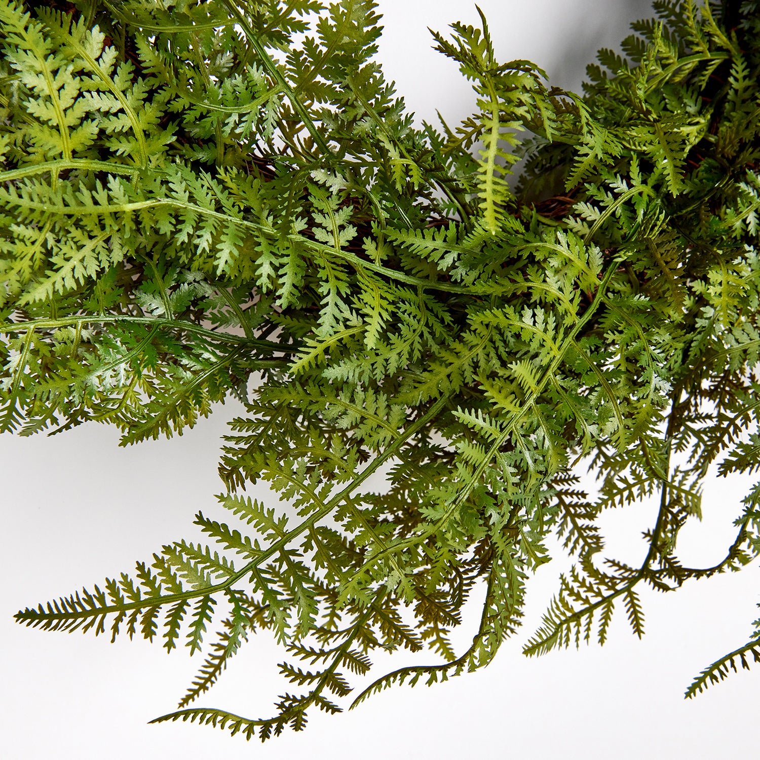 Fern 18in Wreath