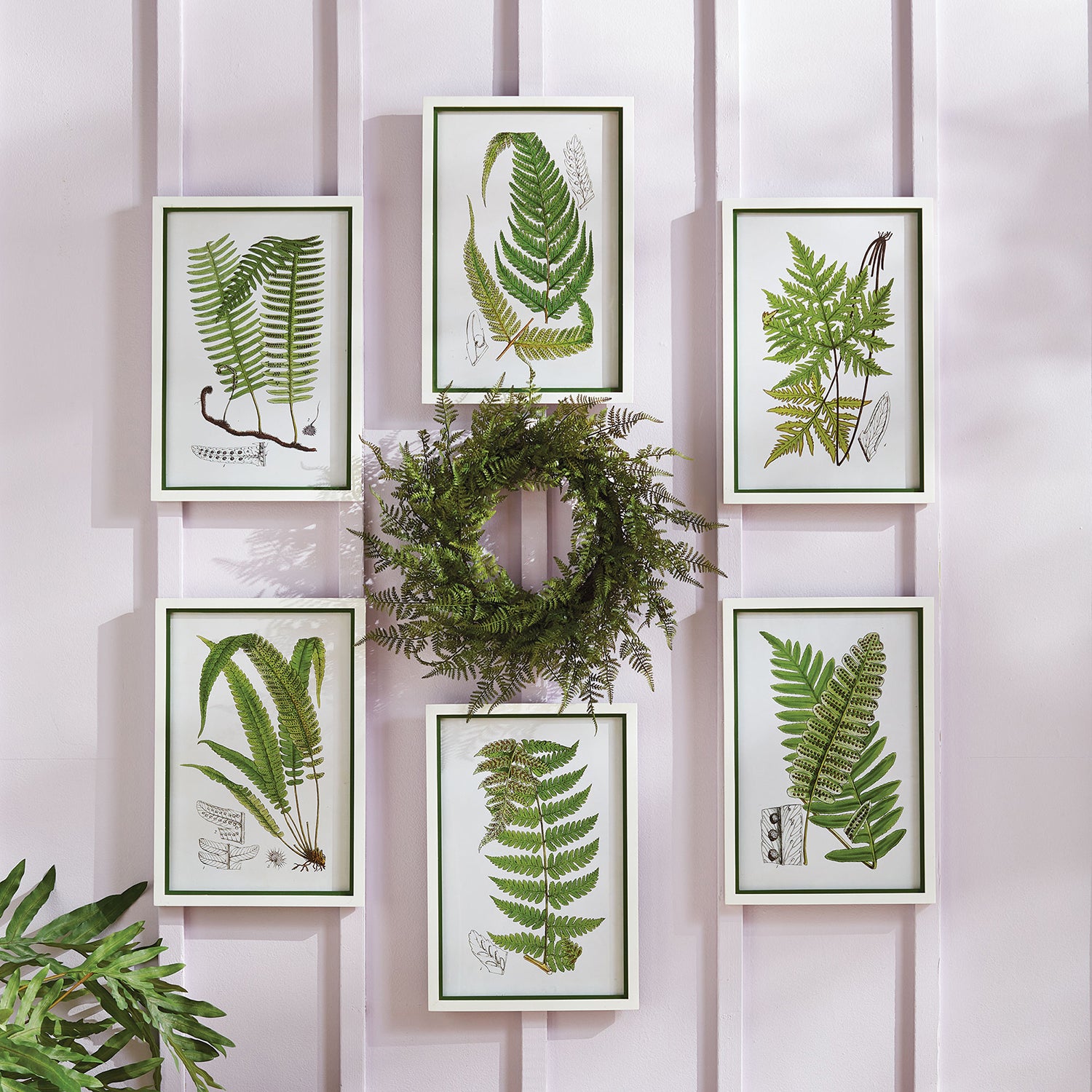 Fern 18in Wreath