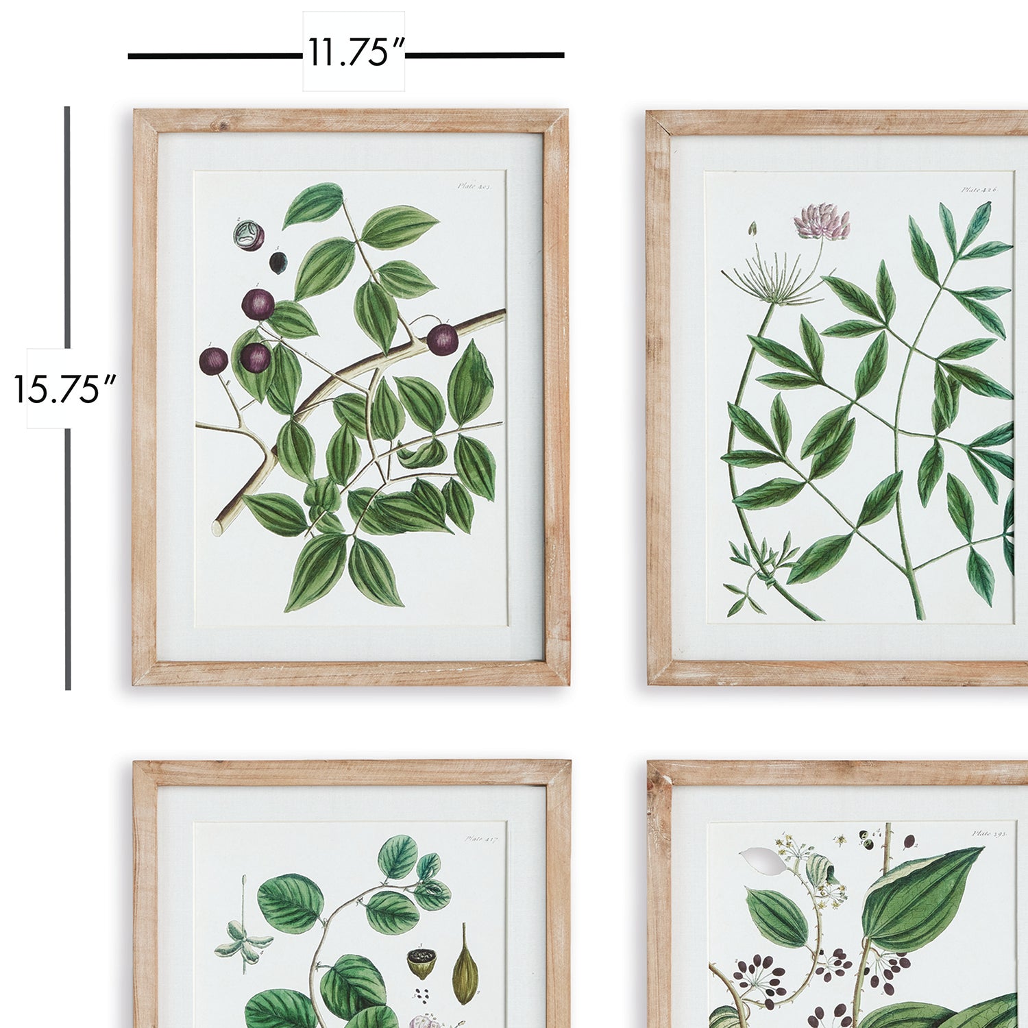 Verdant Branch Wall Art Set of 4
