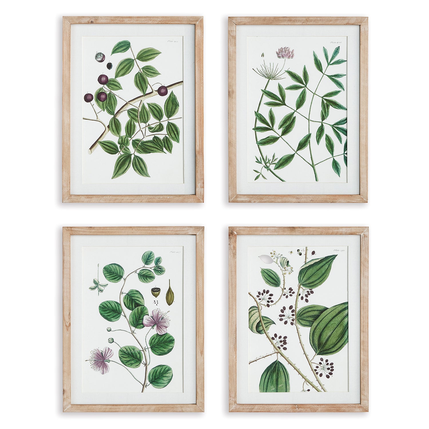 Verdant Branch Wall Art Set of 4
