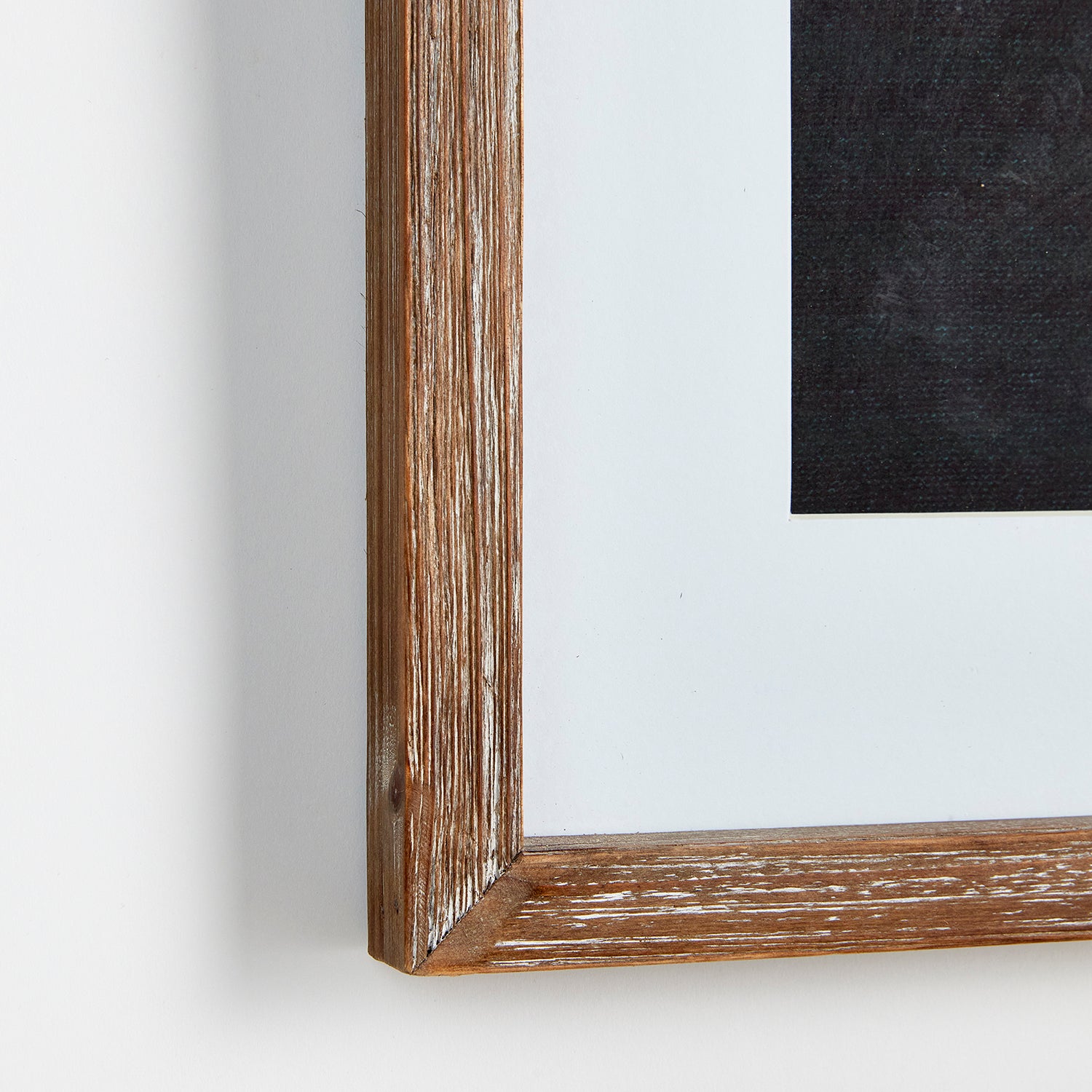 Monochrome Botanical Wall Art Set of 4