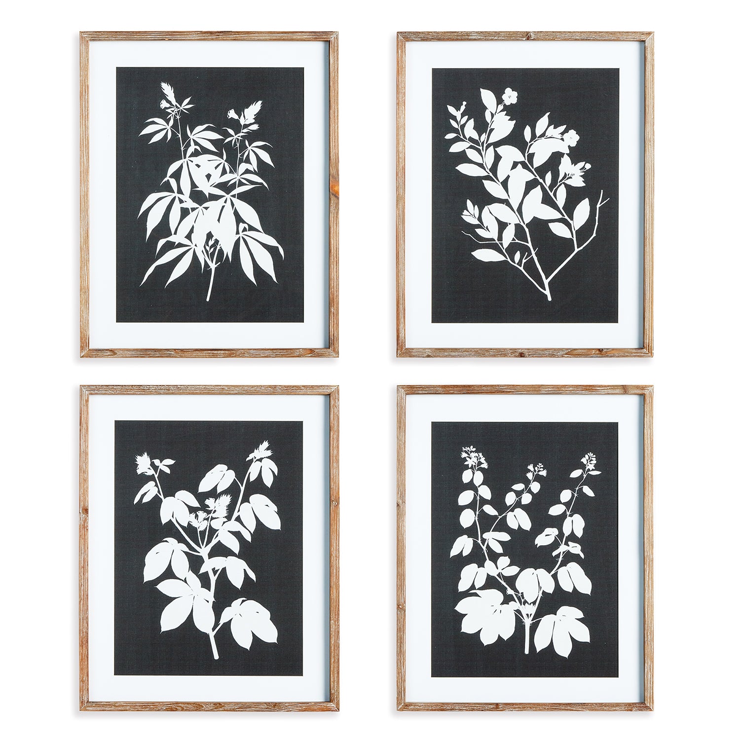 Monochrome Botanical Wall Art Set of 4