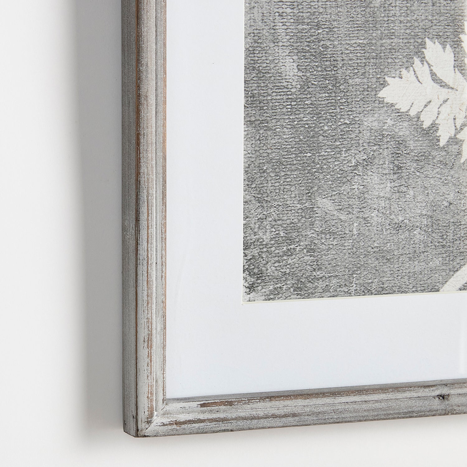 Blooming Queen Annes Lace Print Wall Art Set of 2