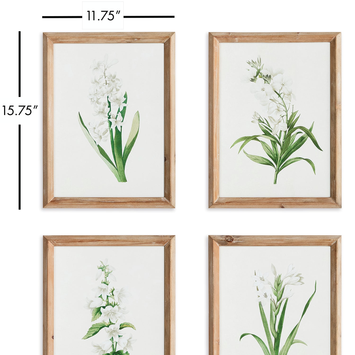 Garden Bloom Wall Art Set of 4