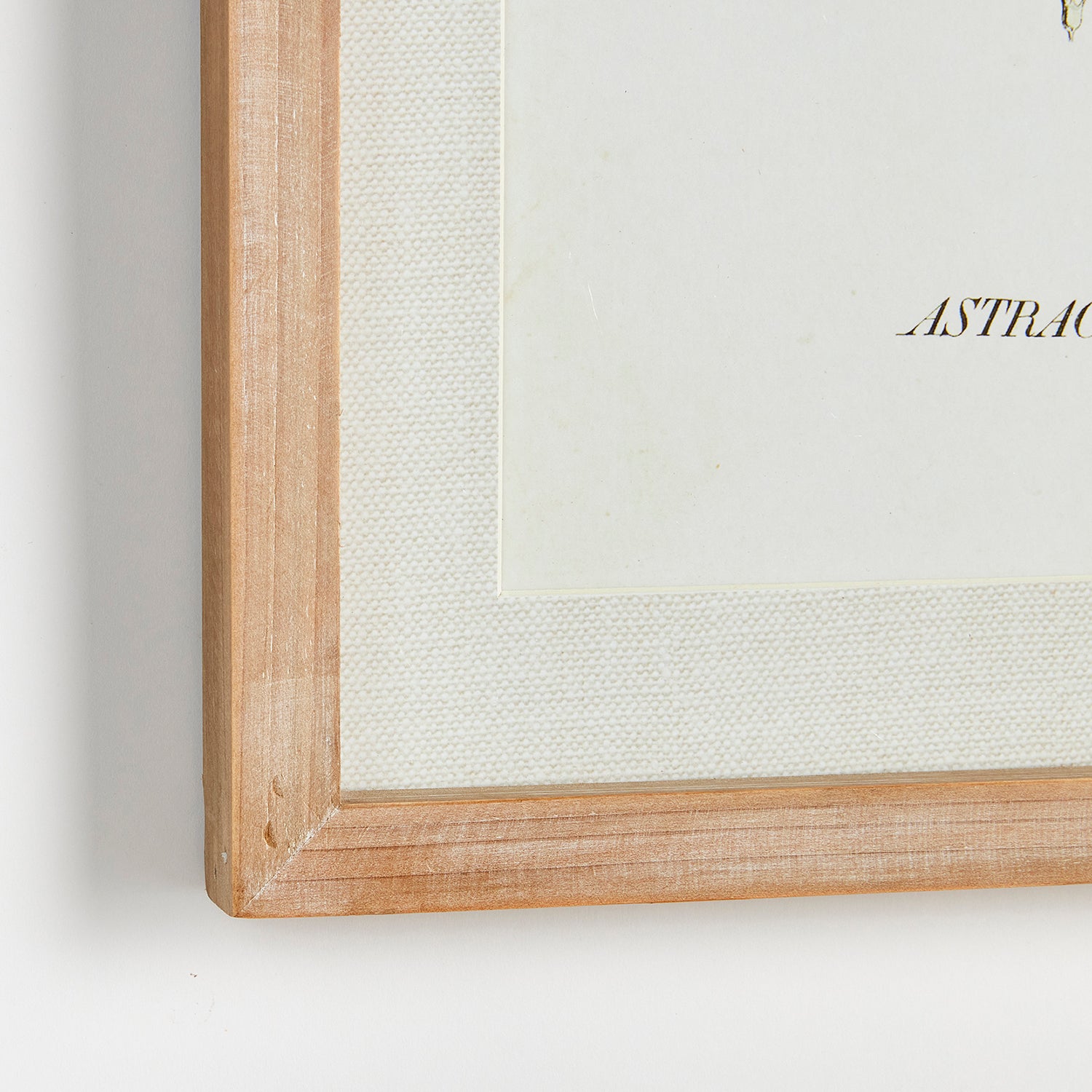 Mid-Summer Blooms Wall Art Set of 6