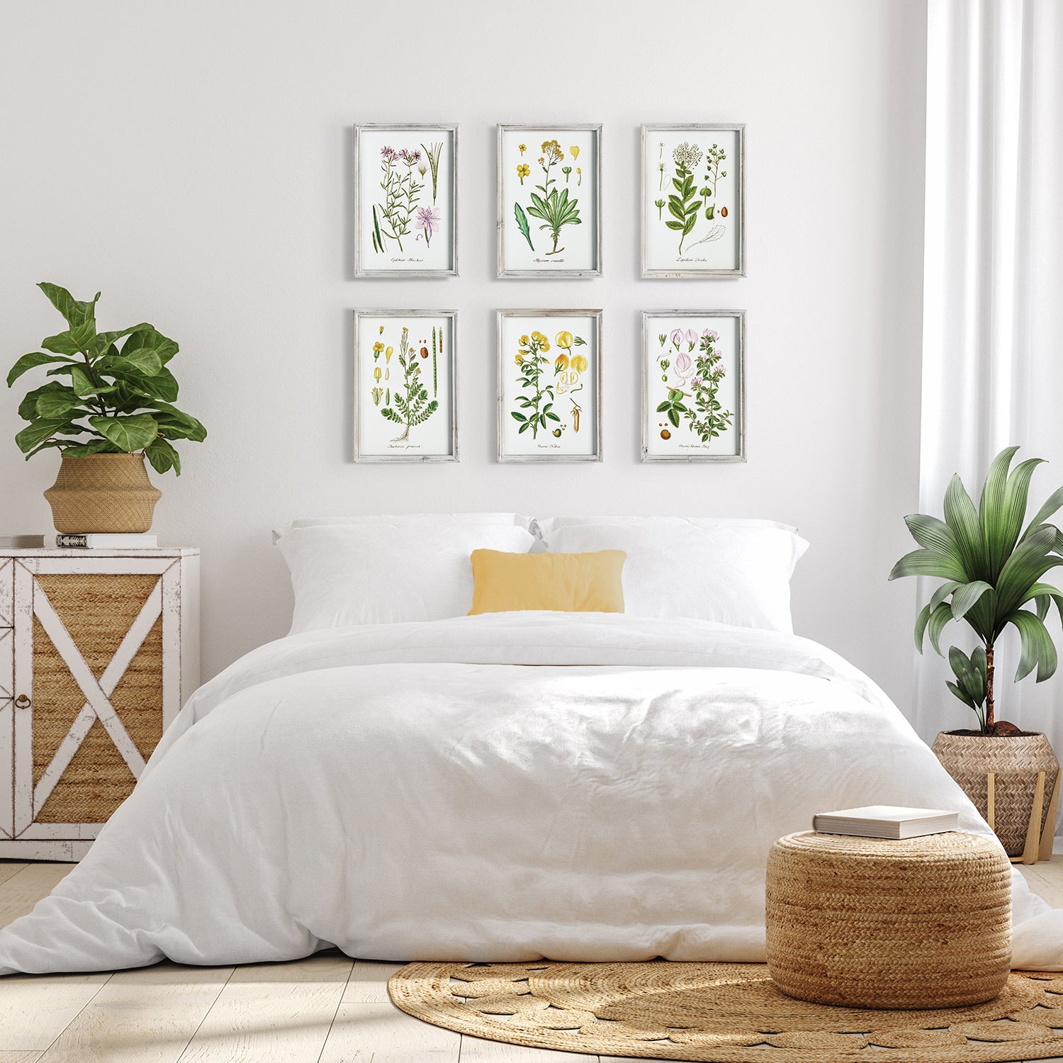 Perennial Botanical Study Wall Art Set of 6