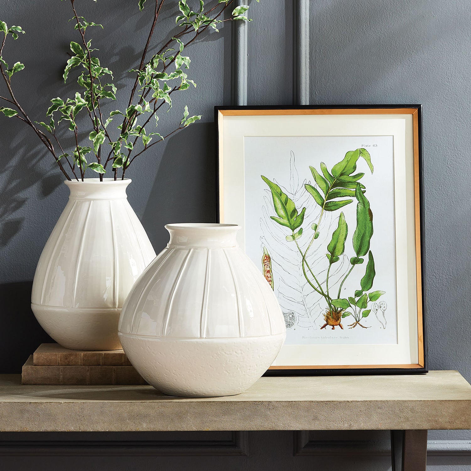 Structural Fern Study Wall Art Set of 4