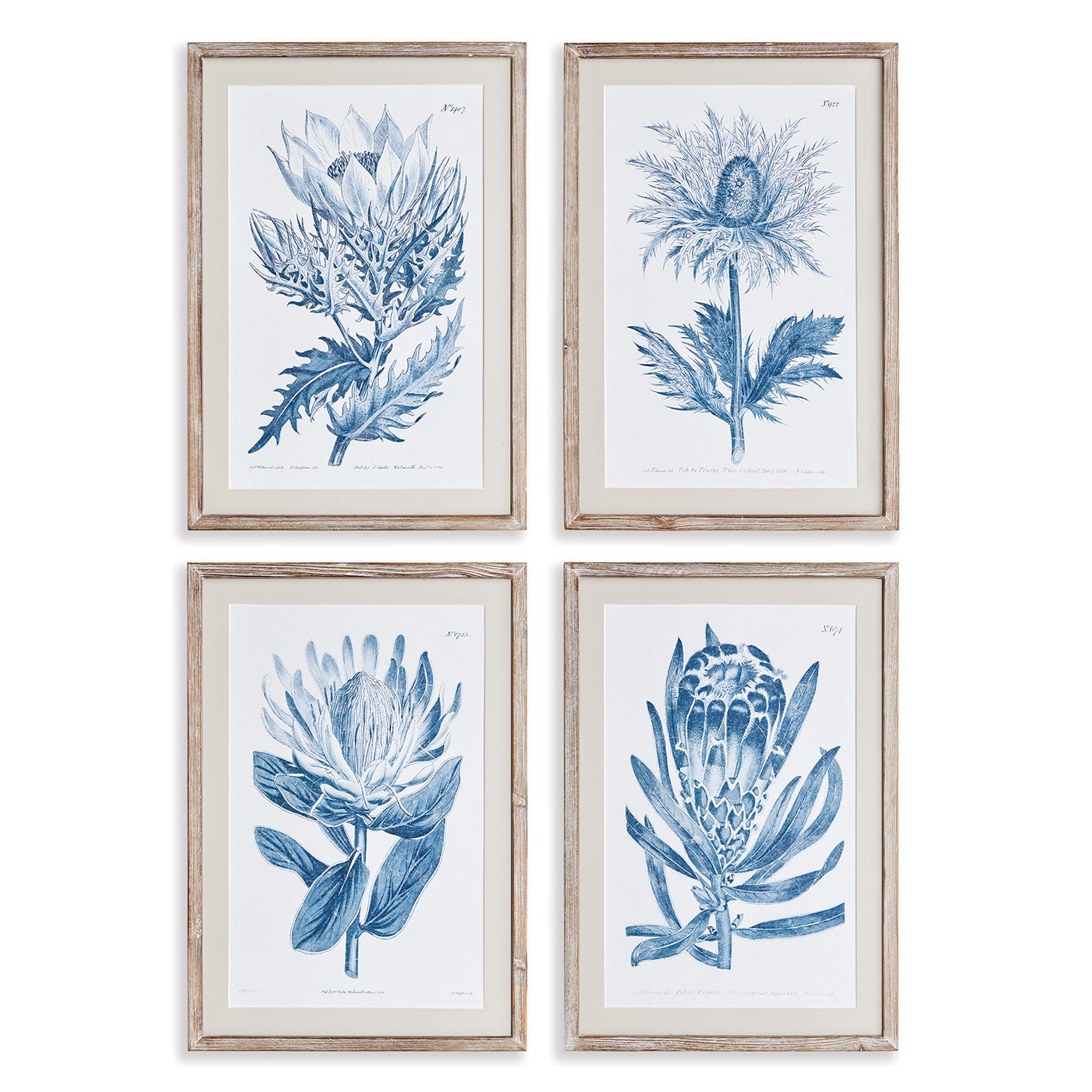 Indigo Protea Print Wall Art Set of 4