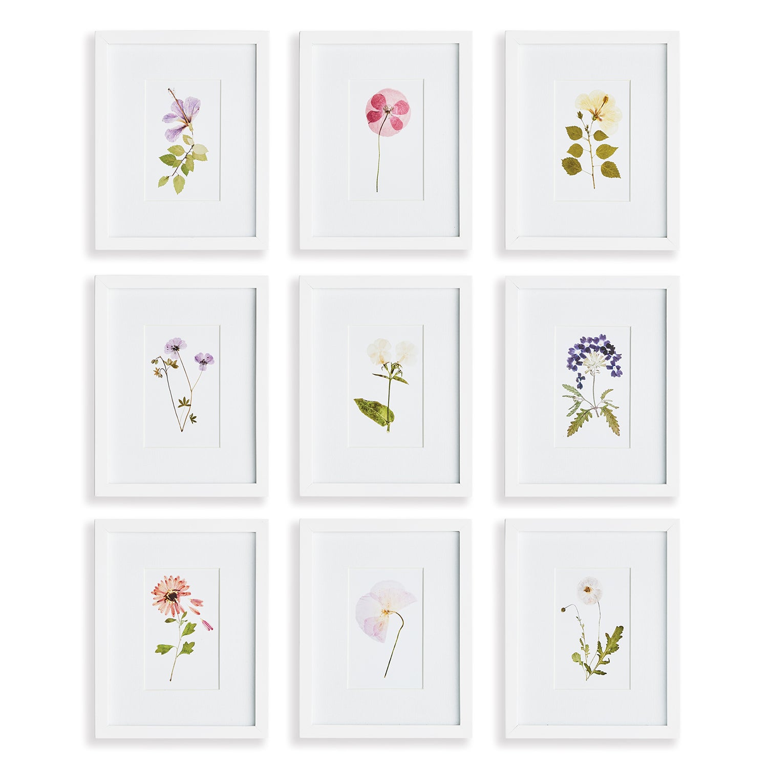 Mountain Flower Petite Wall Art Set of 9