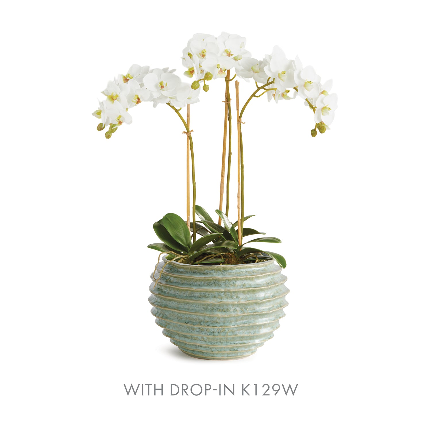 Avani Green Pot