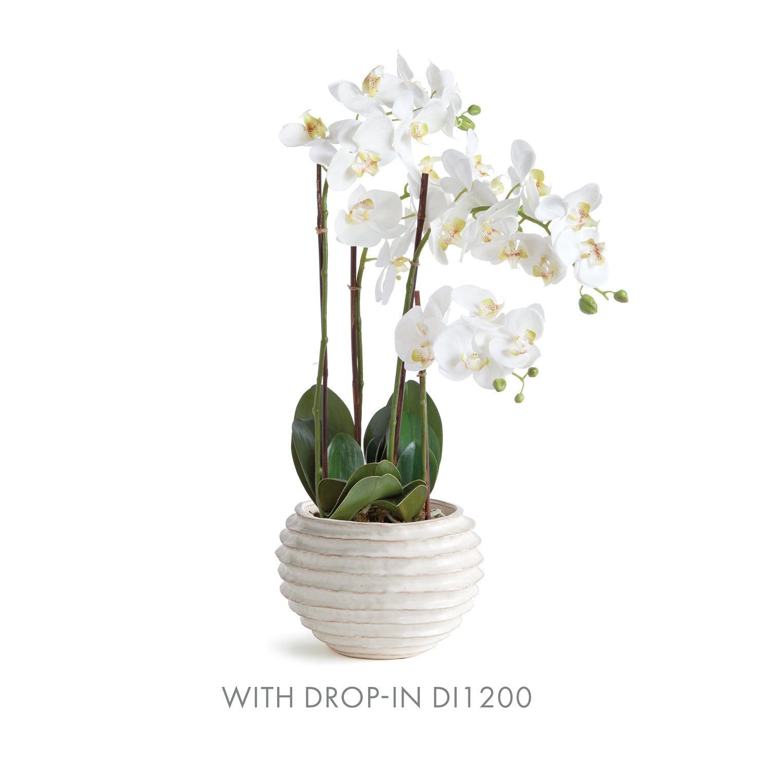 Avani White Pot