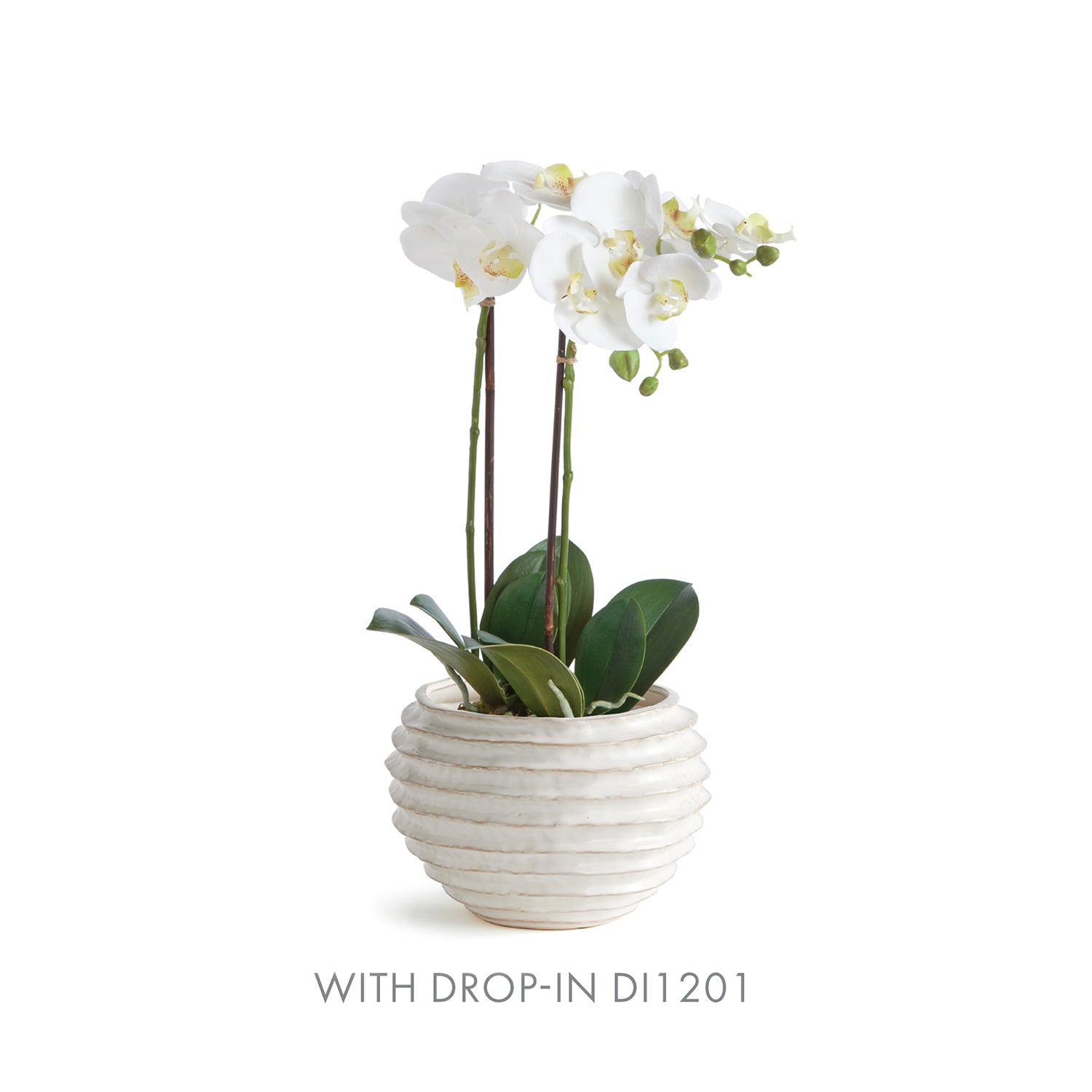 Avani White Pot