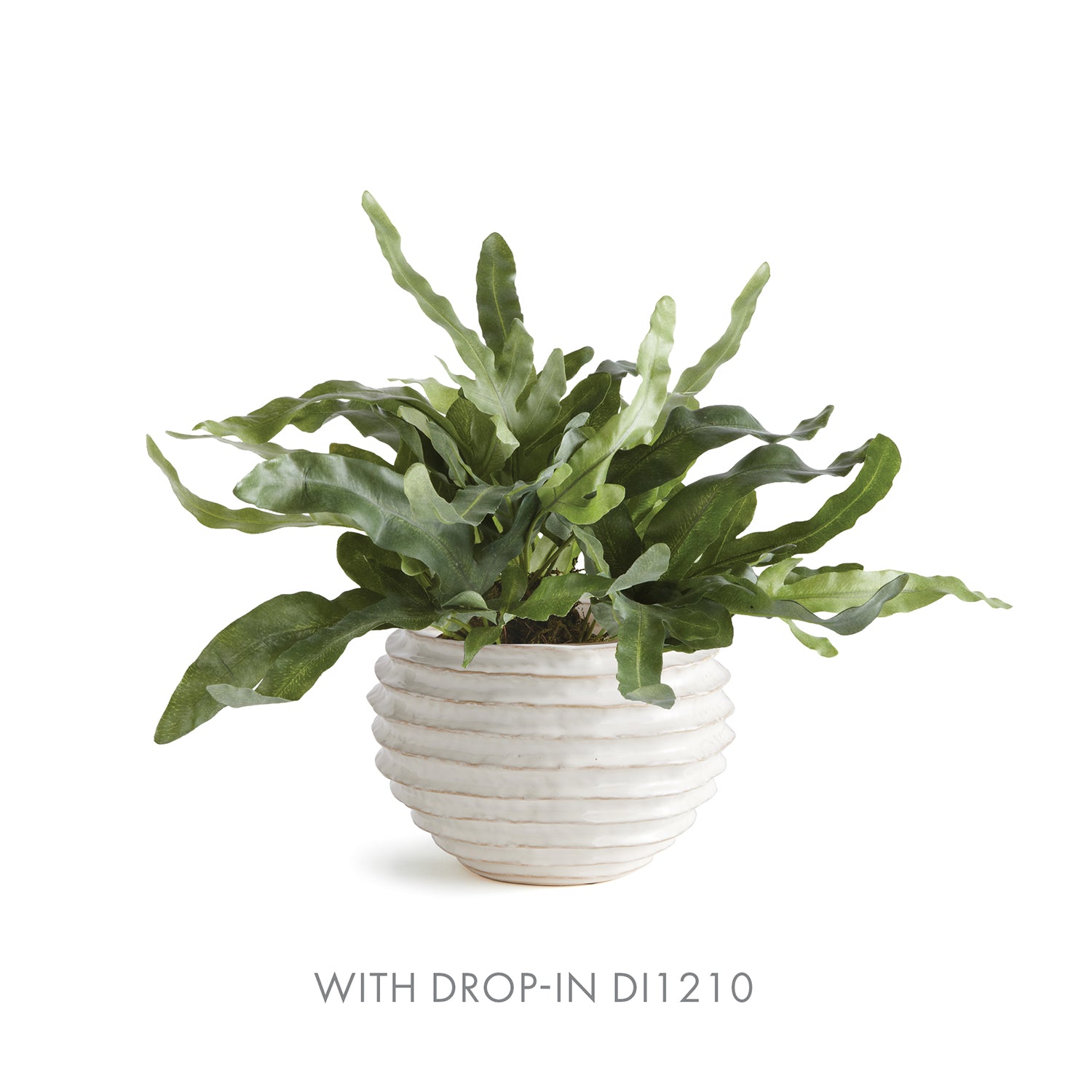 Avani White Pot