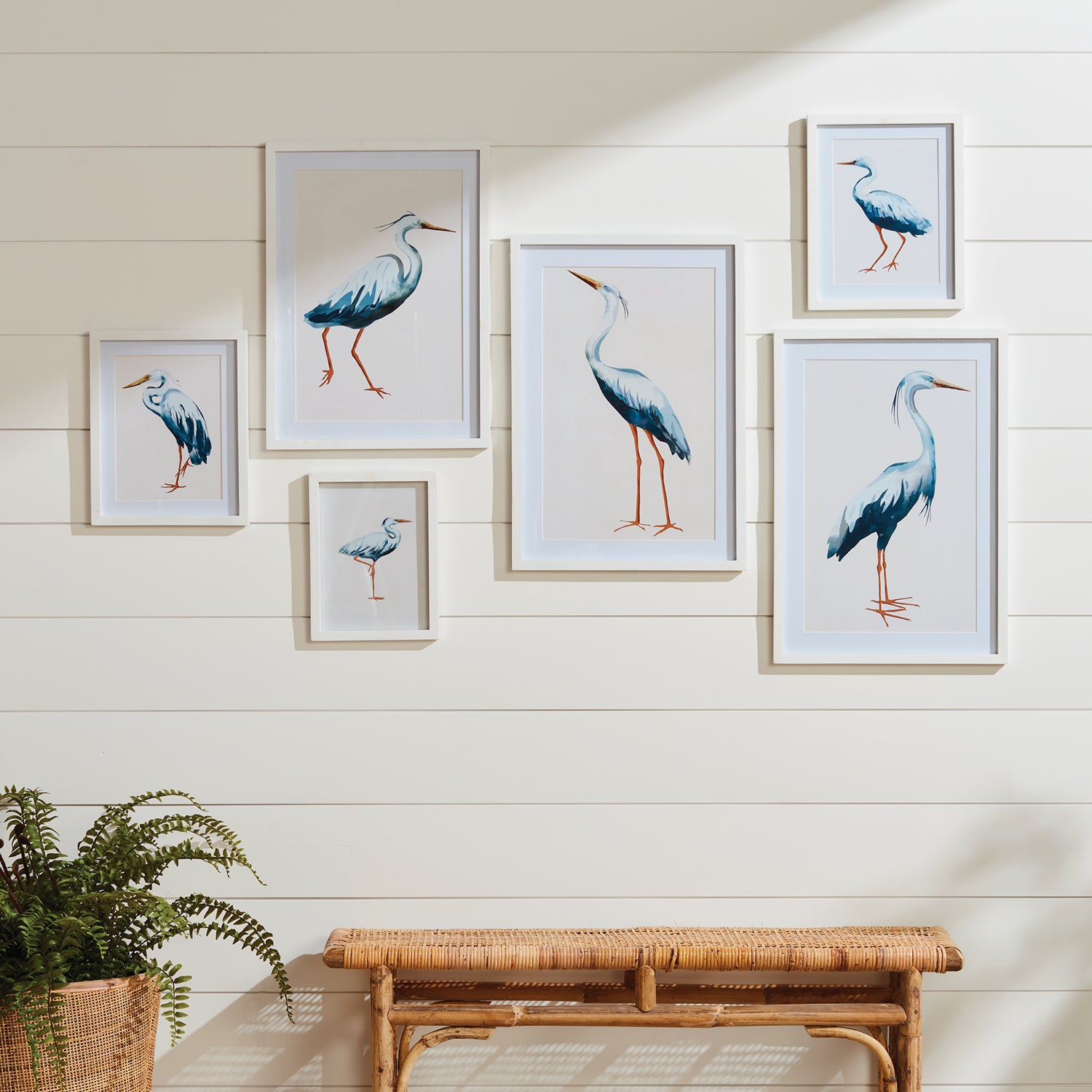 Blue Heron Gallery Print Set of 6