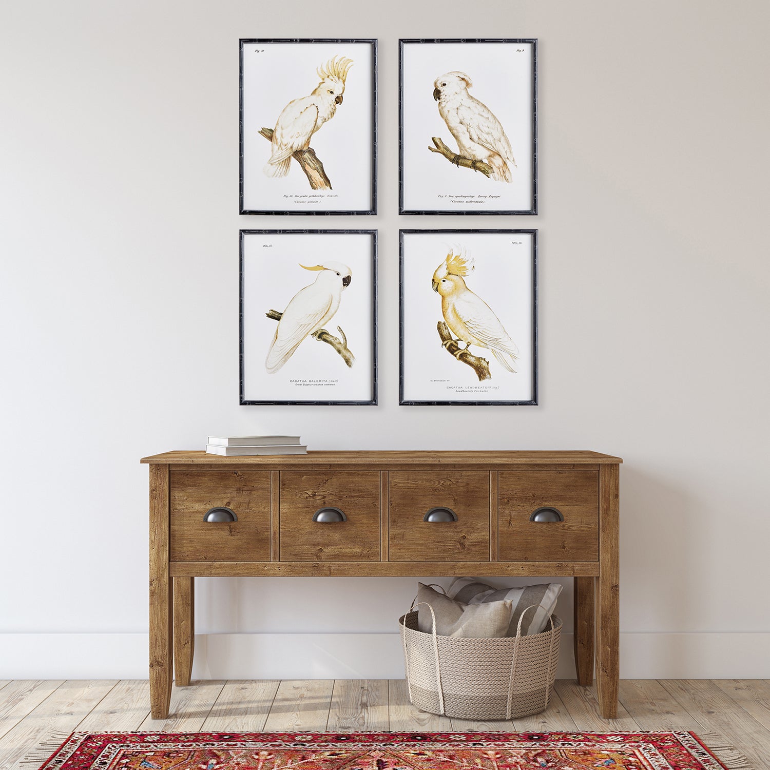 Parrot Study in White Set of 4