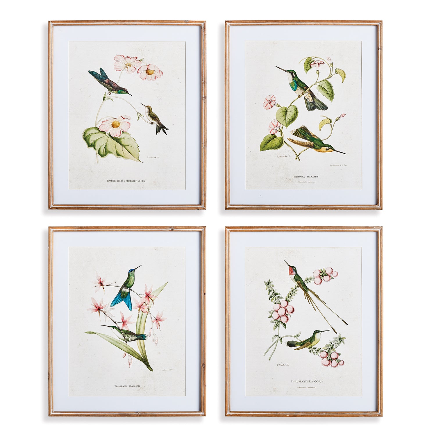 Hummingbirds With Blush Bloom Set of 4