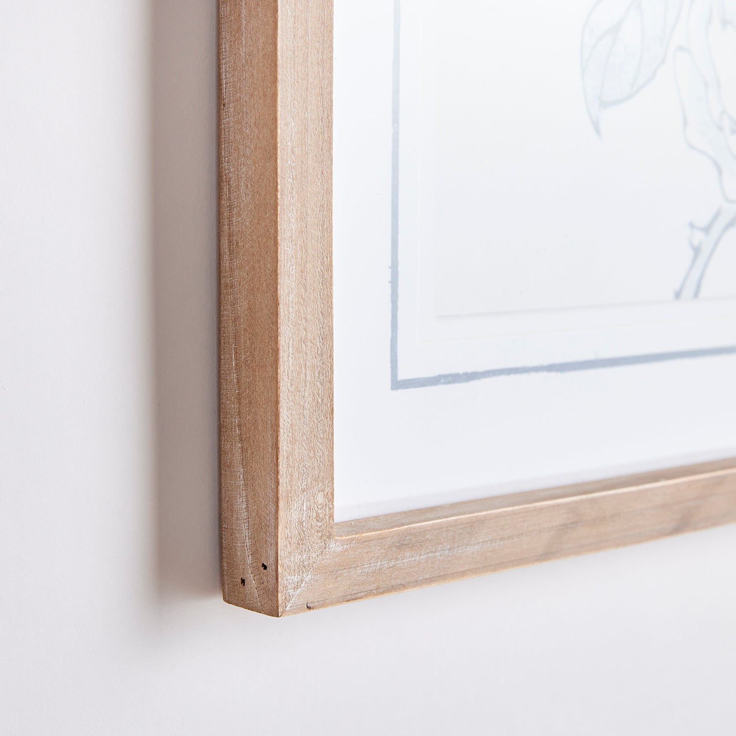 Monochromatic Bird Study Set of 4