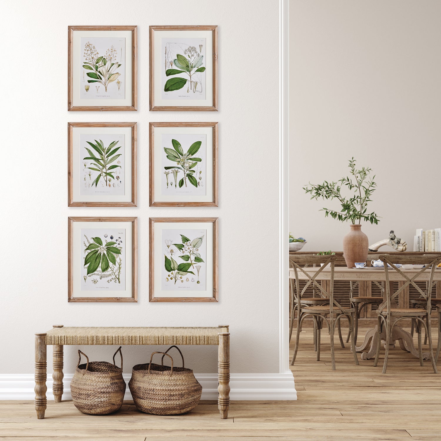 Classic Flower and Leaf Study Set of 6