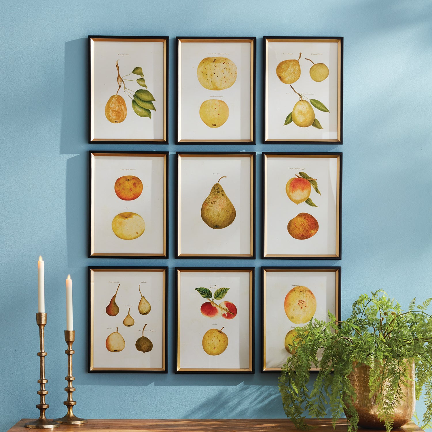 Fruit Study Assorted Set of 9