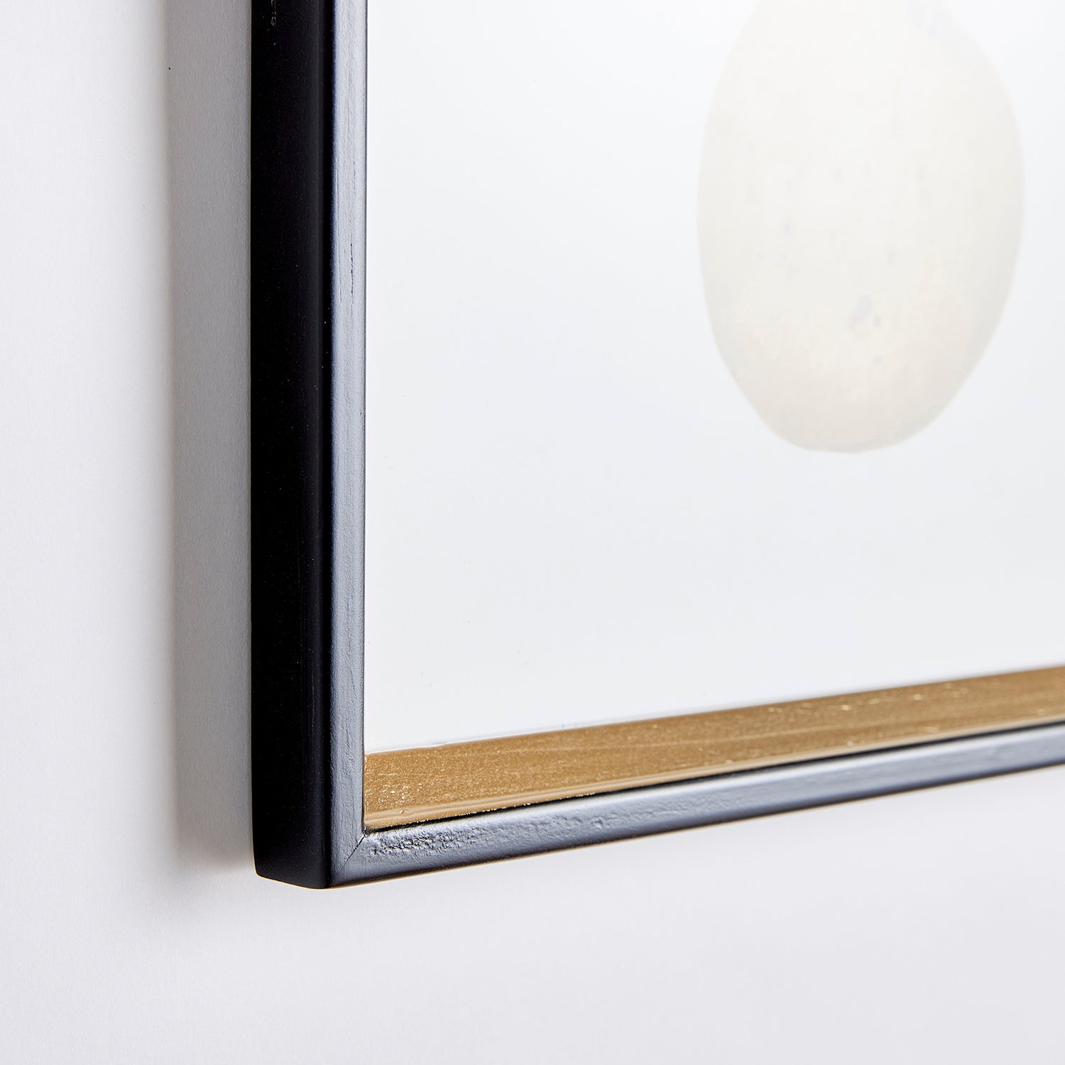 Fruit Study Assorted Set of 9