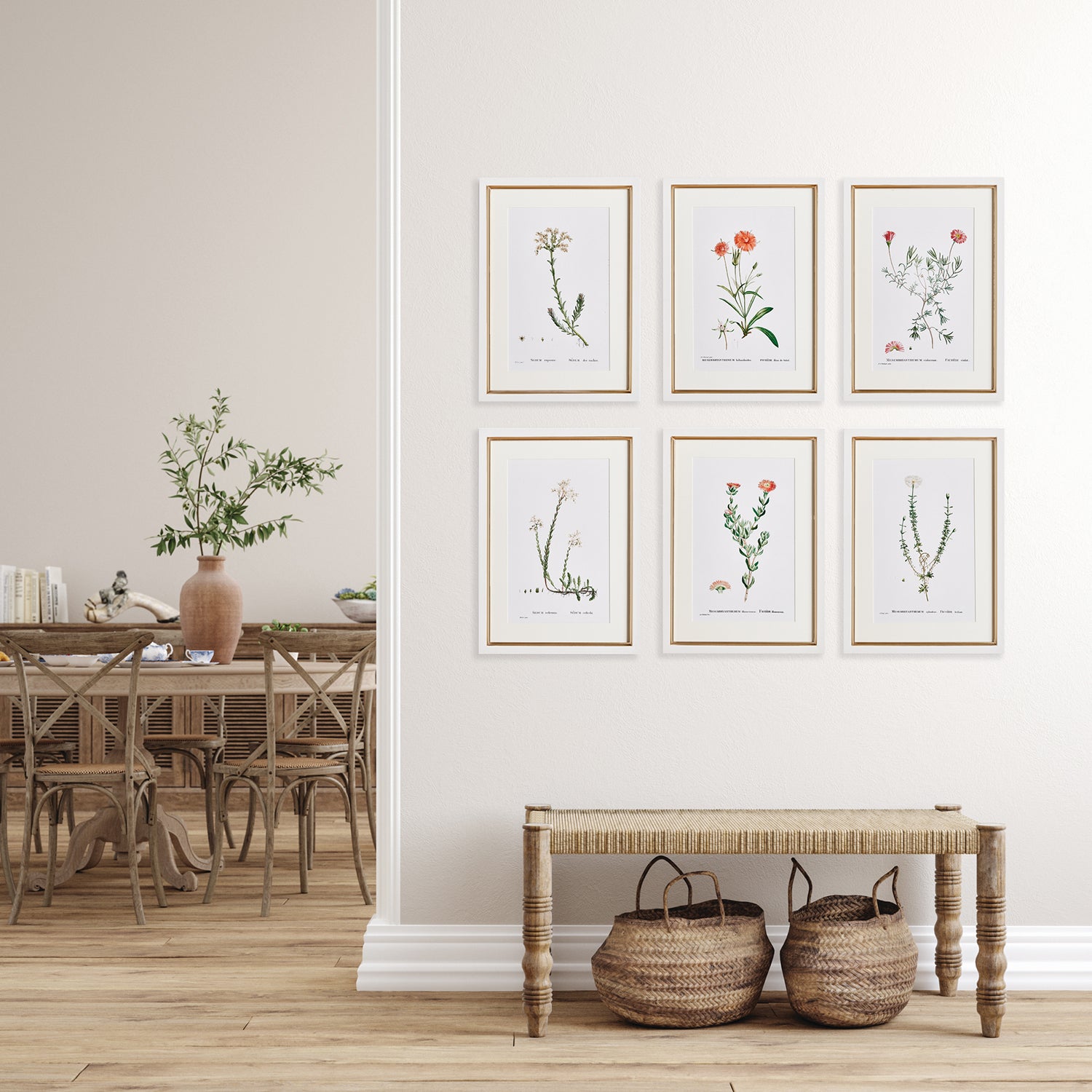 Flower Studies in Shades of Blush Set of 6