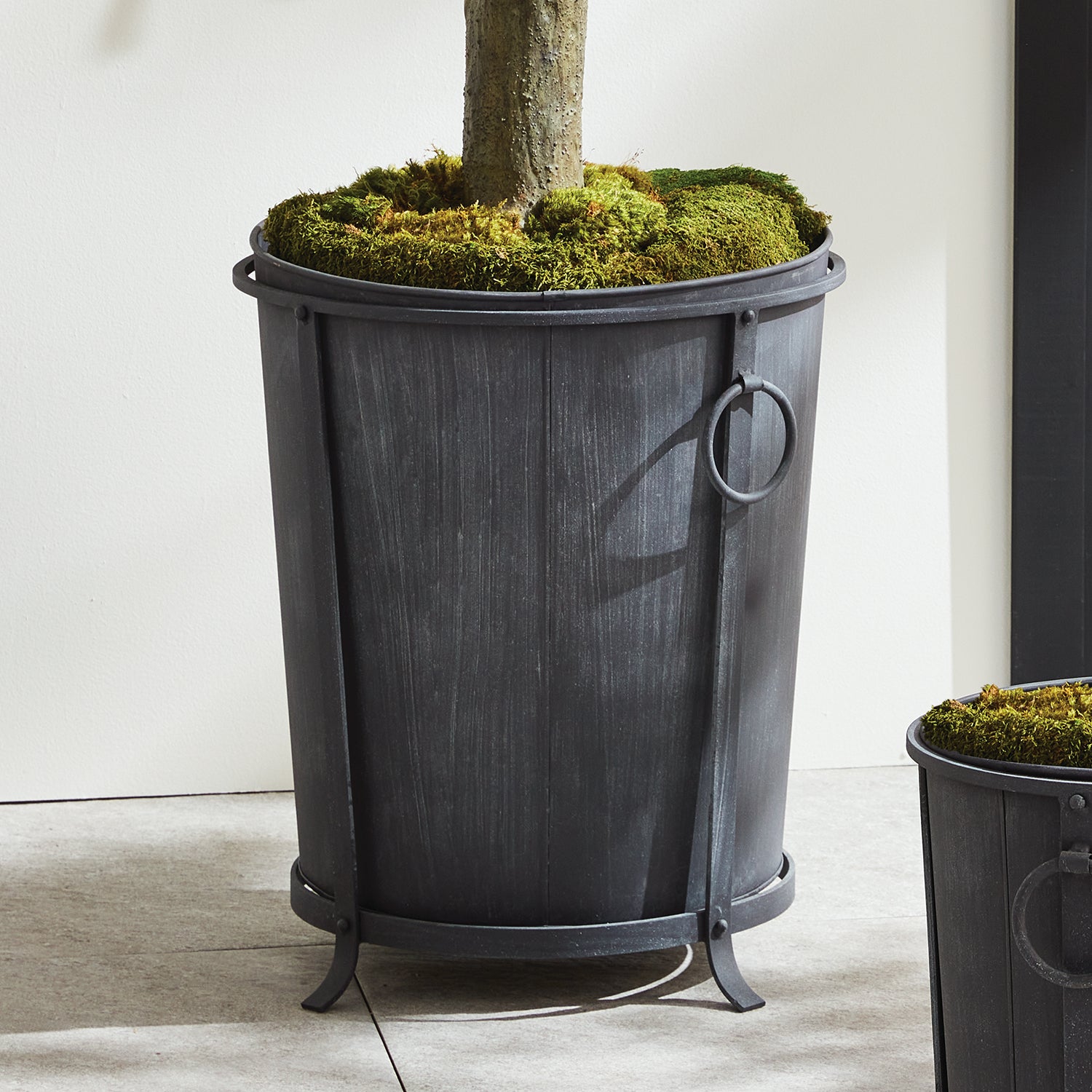 Oberon Planter