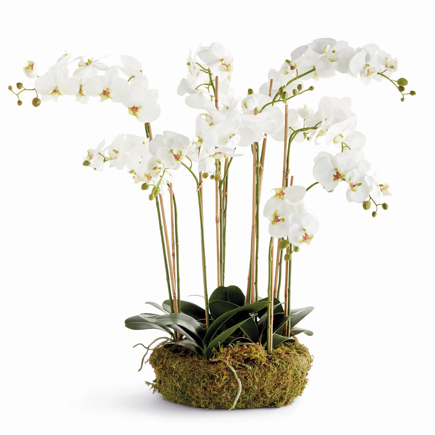 Phalaenopsis Orchid Bowl Drop-in 35in Faux Plant