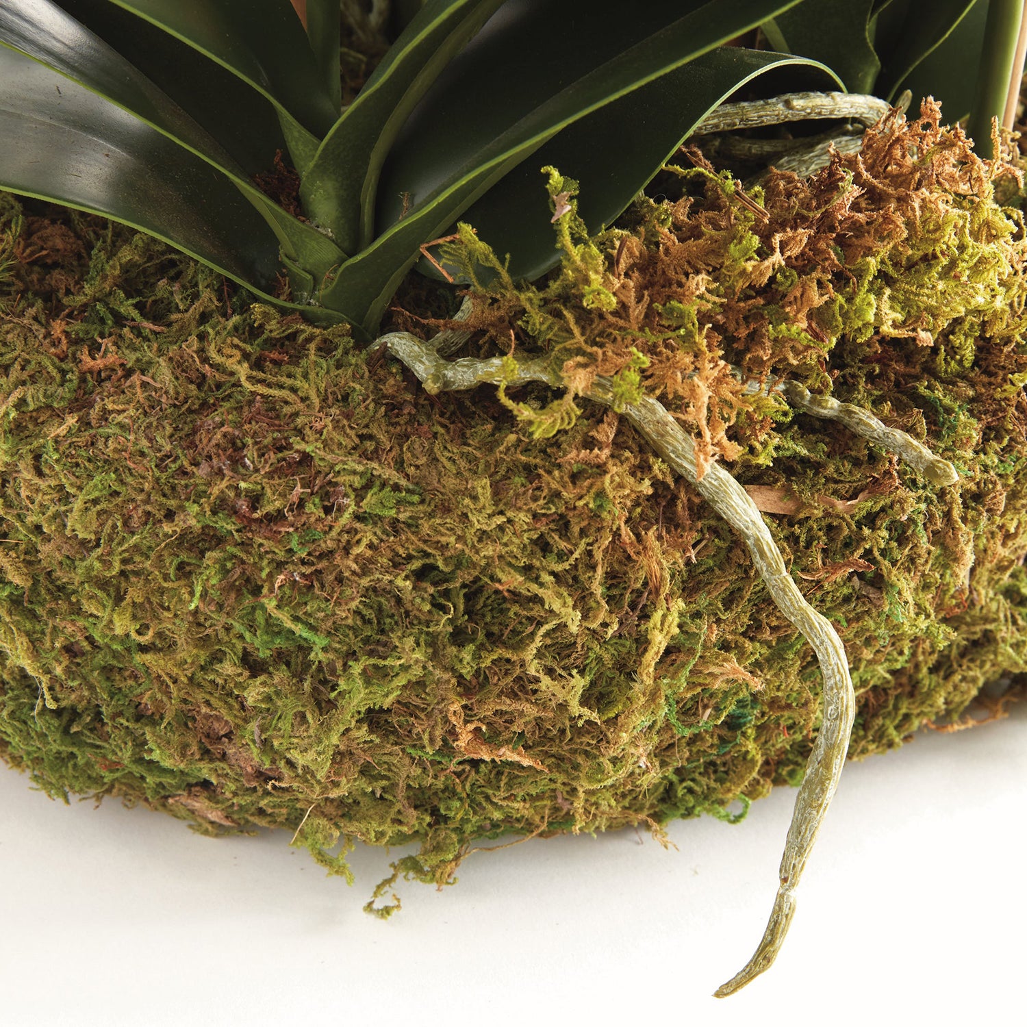 Phalaenopsis Orchid Bowl Drop-in 35in Faux Plant