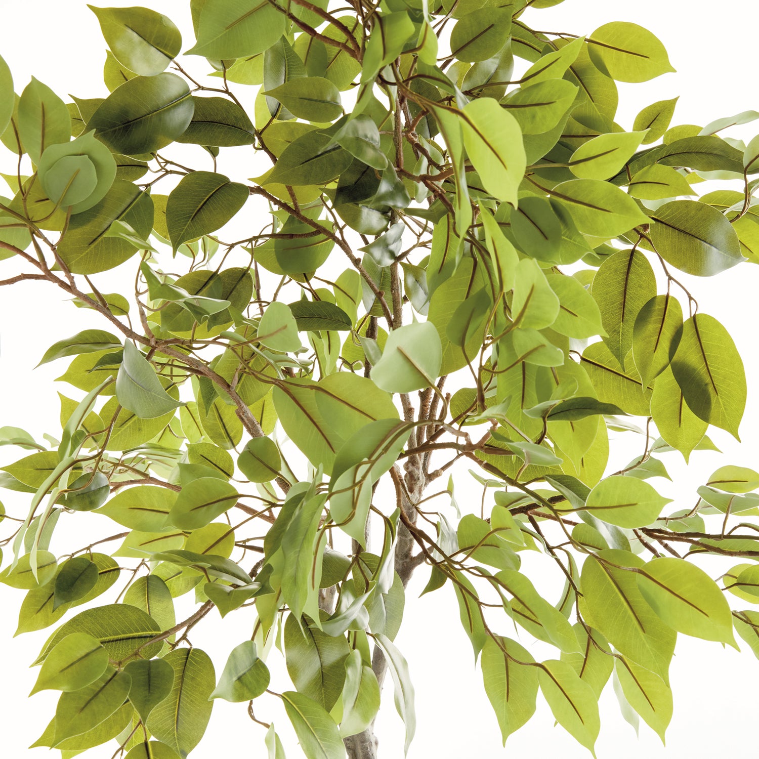 Ficus Tree 51in Drop-In Faux Plant