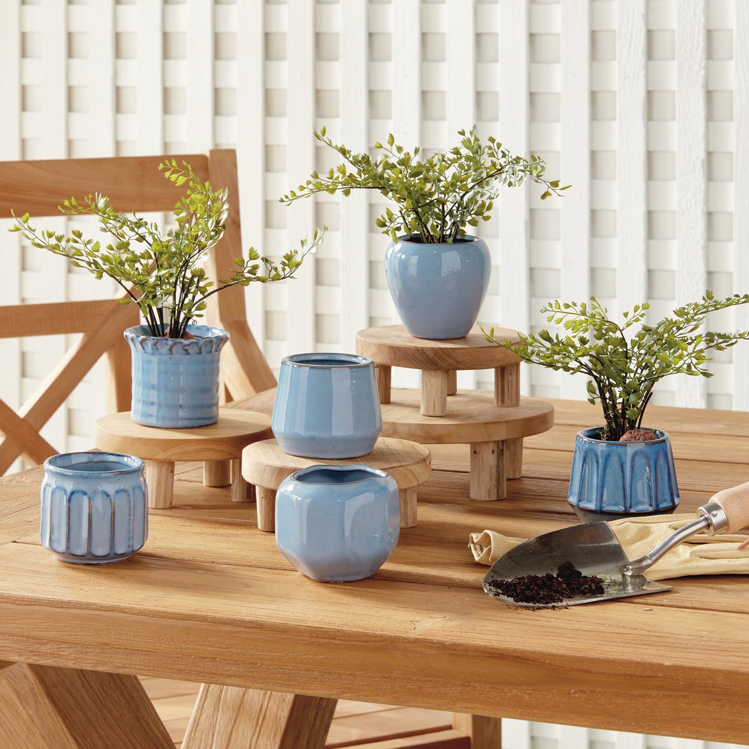 Dezie Mini Pot Set of 6