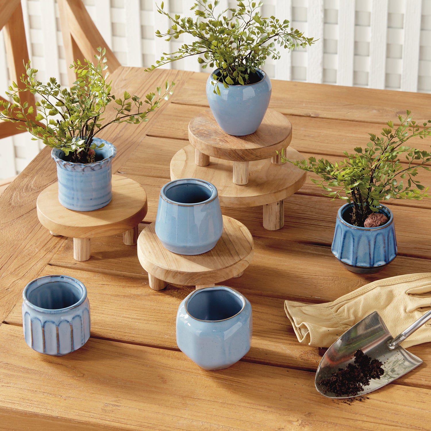 Dezie Mini Pot Set of 6