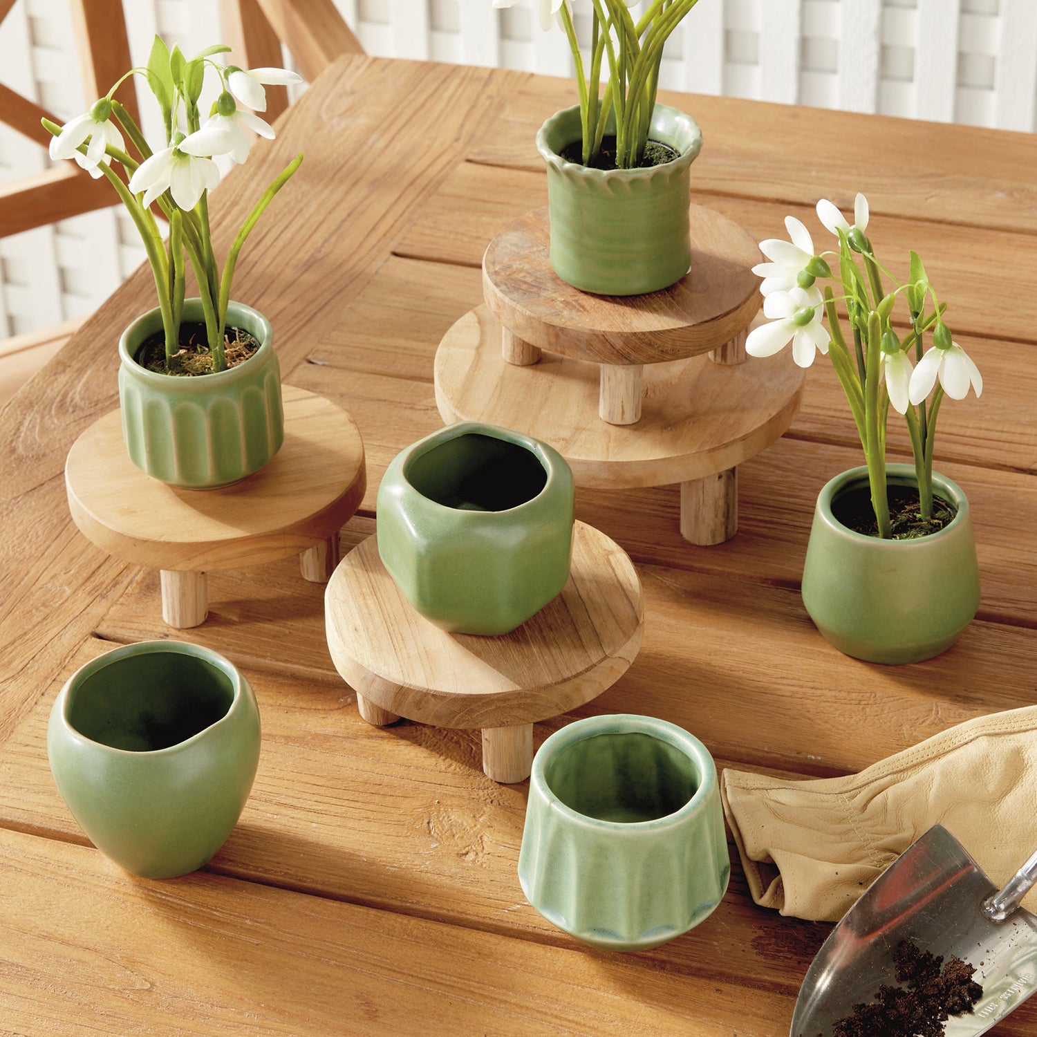 Dezie Mini Pot Set of 6