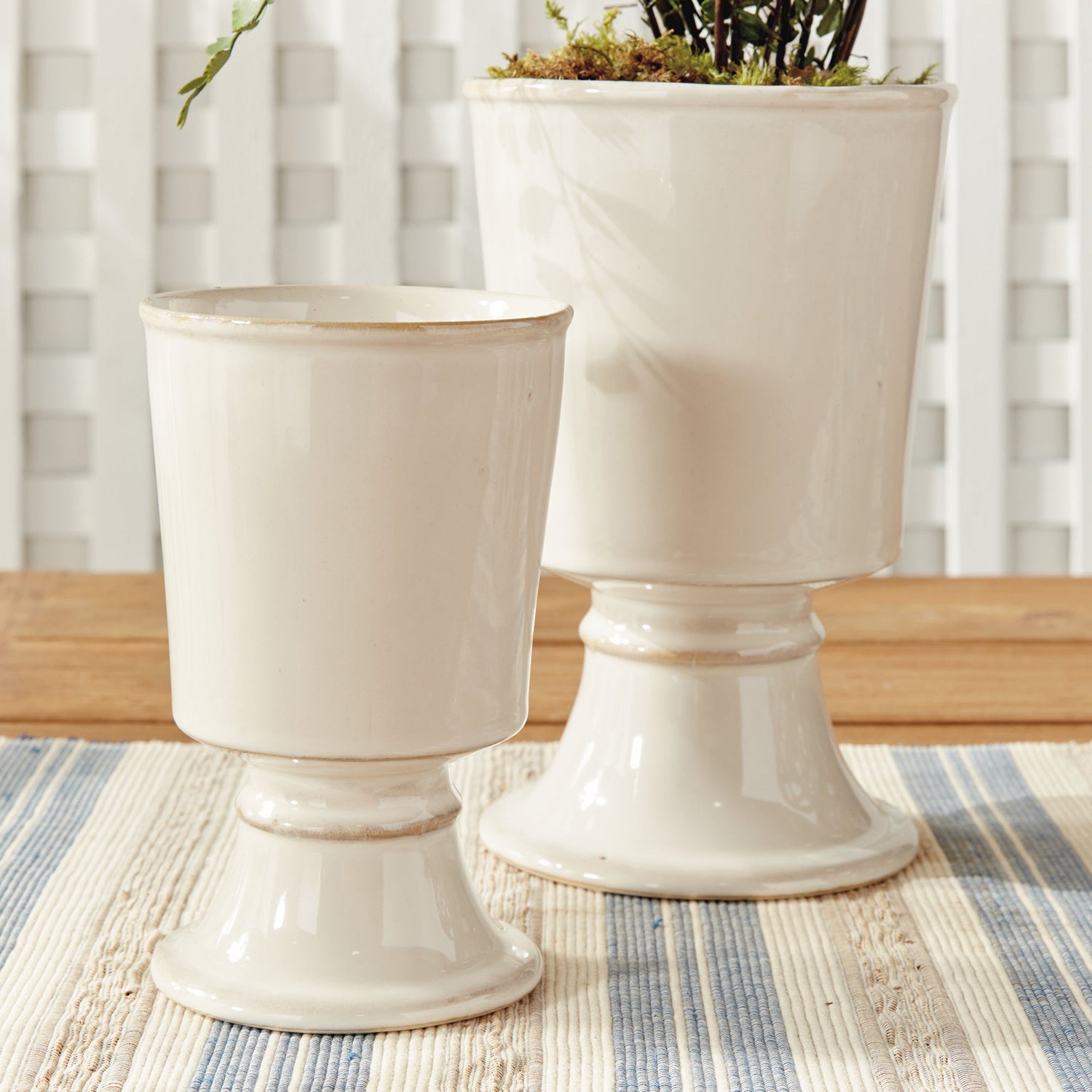 Kelcy Footed Cachepot Set of 2