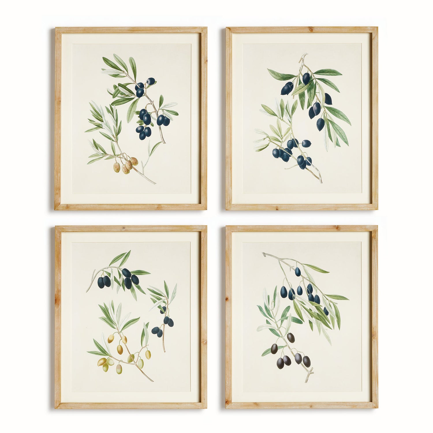 Olive Stems Study Set of 4