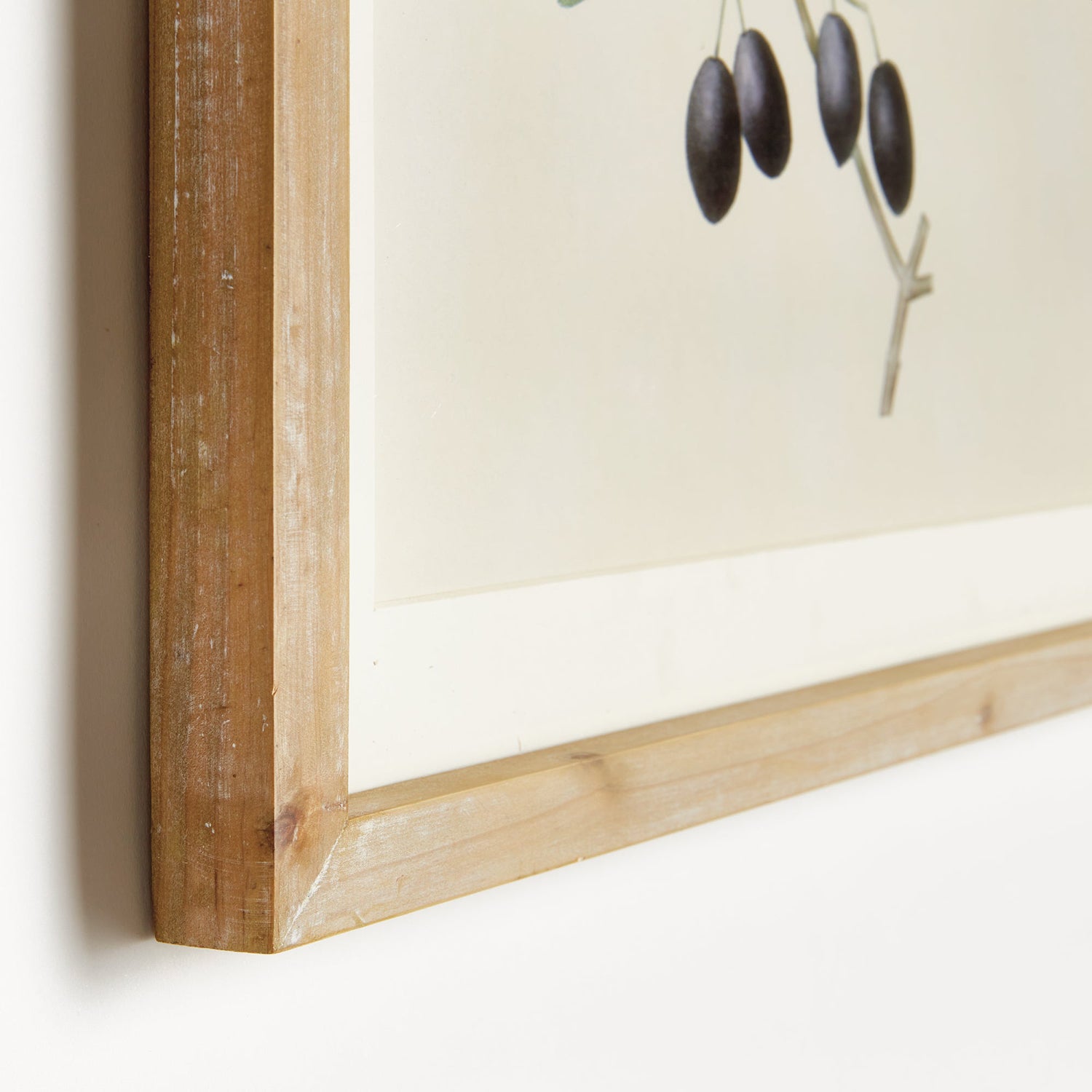 Olive Stems Study Set of 4