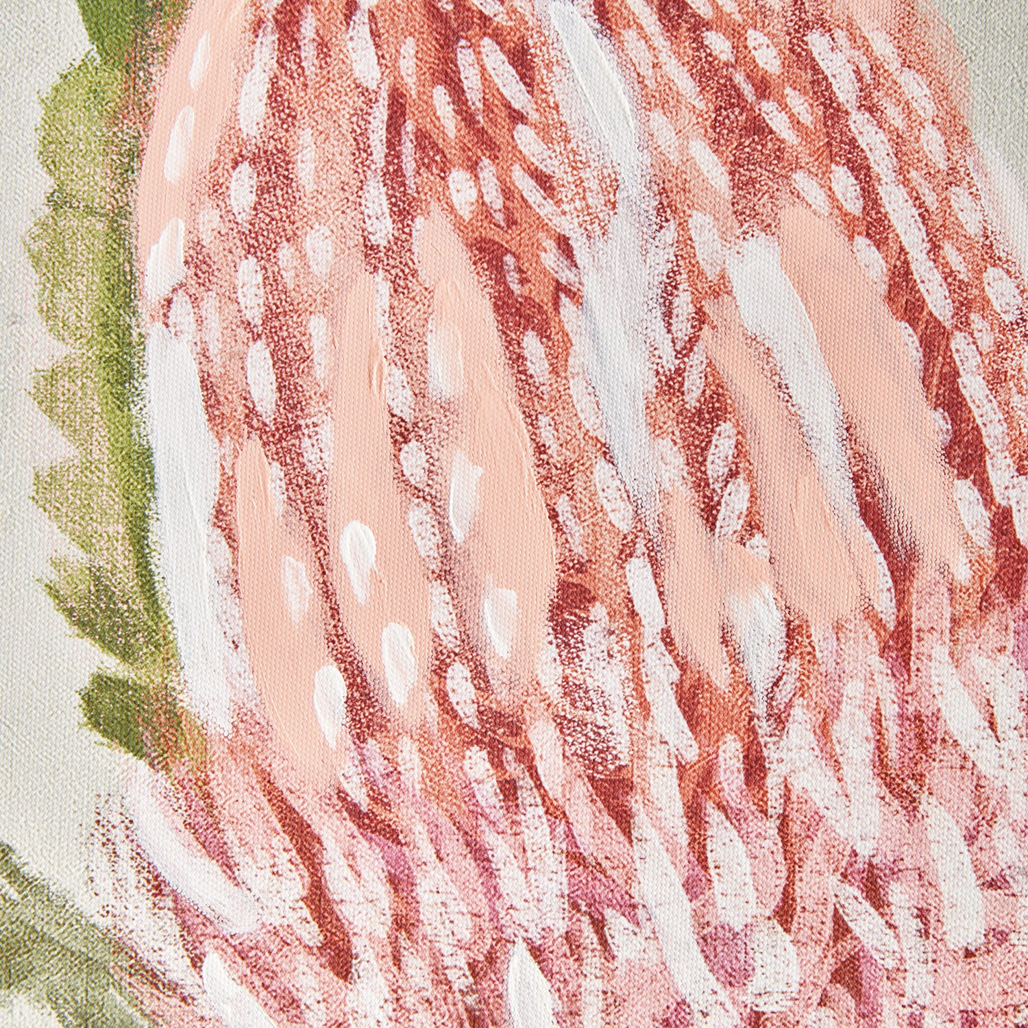 Queen Protea Gicless Wall Artwork Set of 3