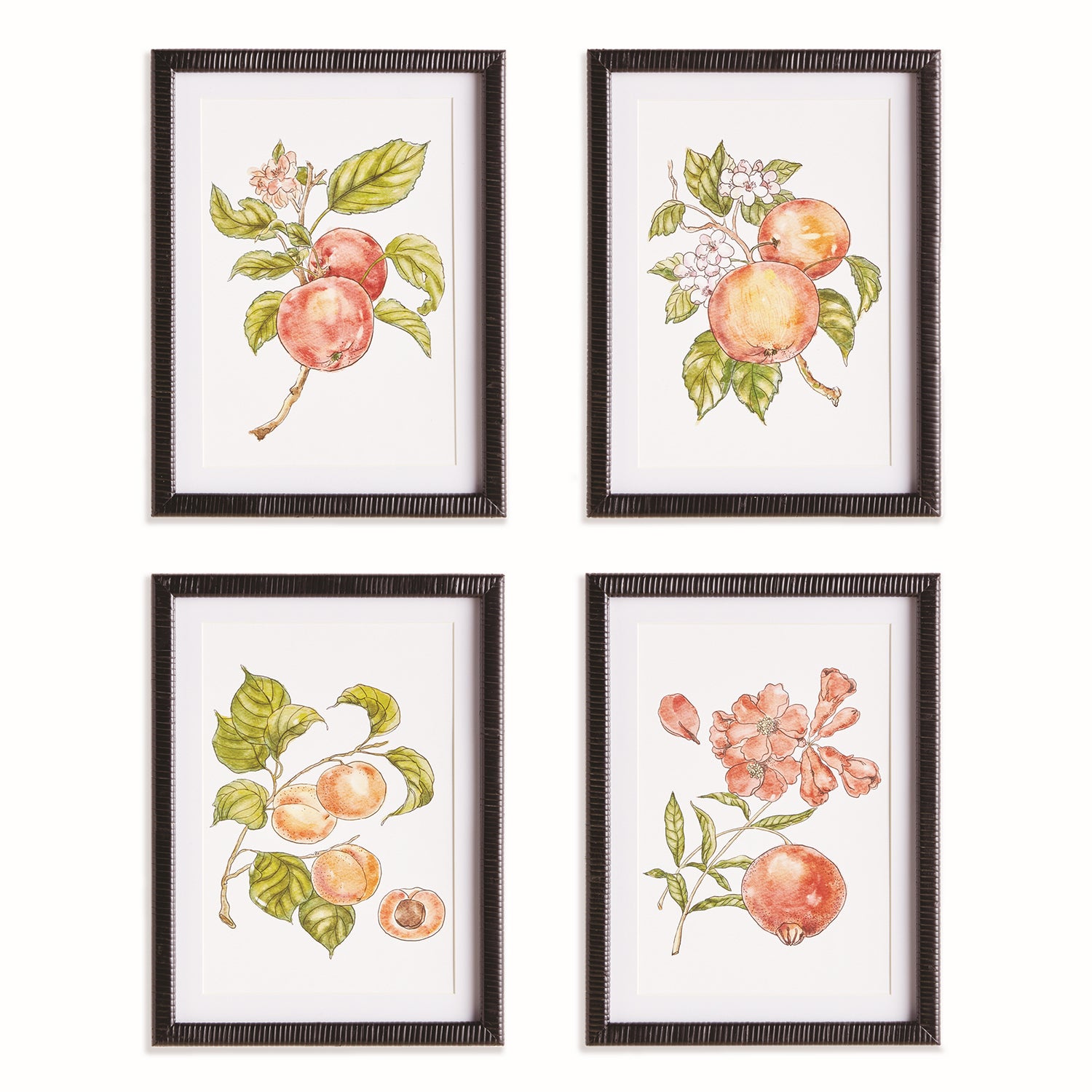 Autumnal Fruit Prints Set of 4