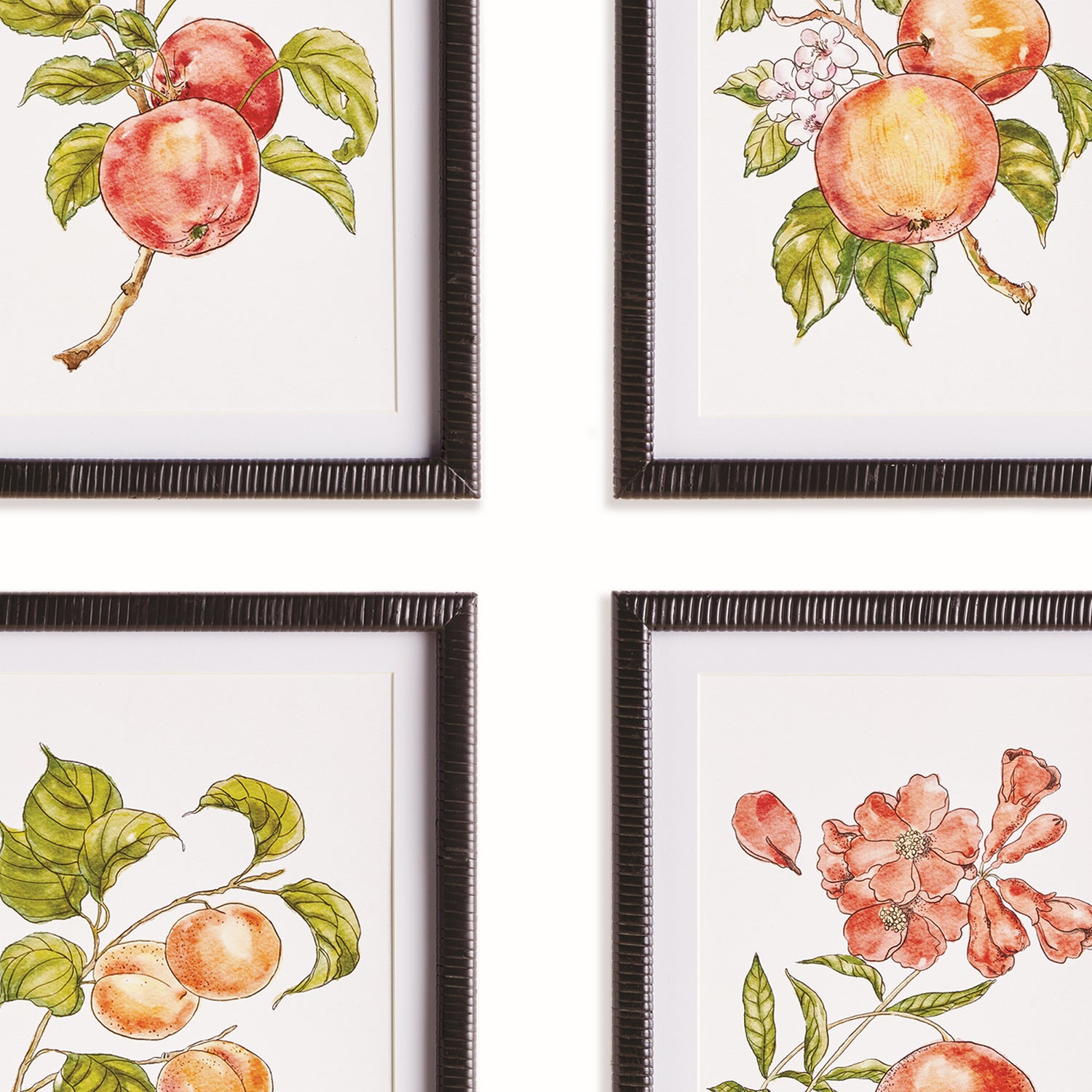Autumnal Fruit Prints Set of 4
