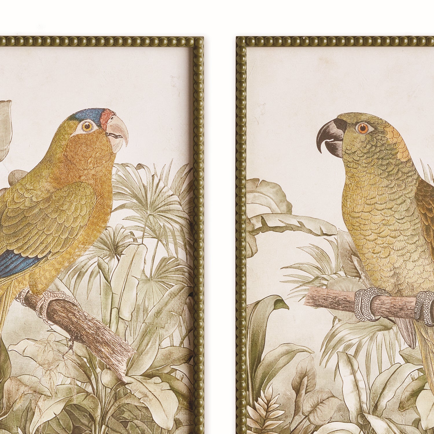 Tropical Parrot Print Wall Art Set of 2