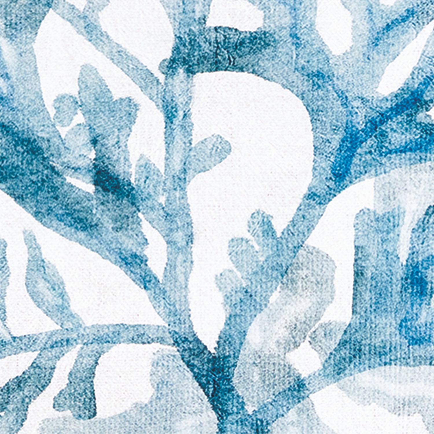 Translucent Coral Print Wall Art