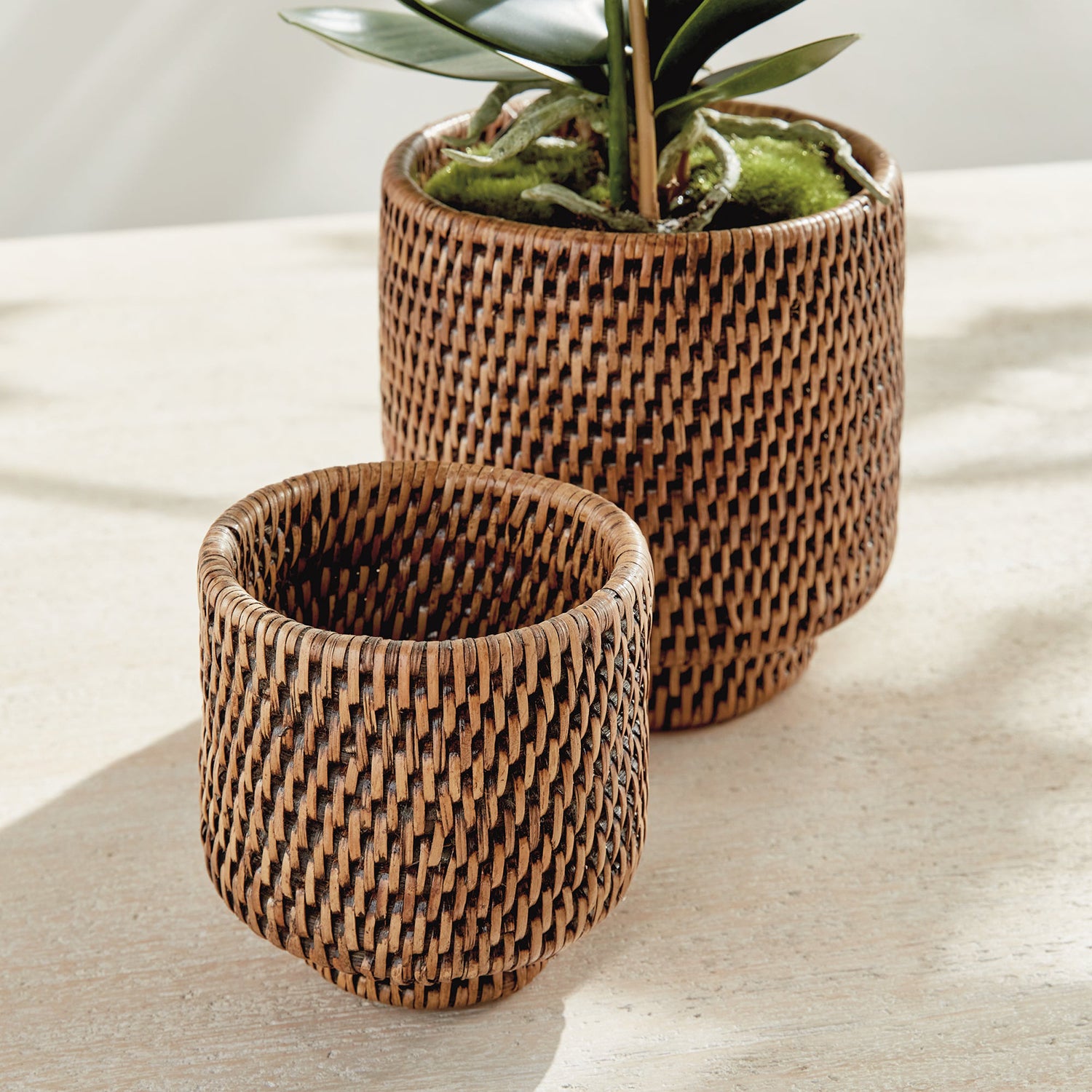Burma Rattan Cachepot Set of 2