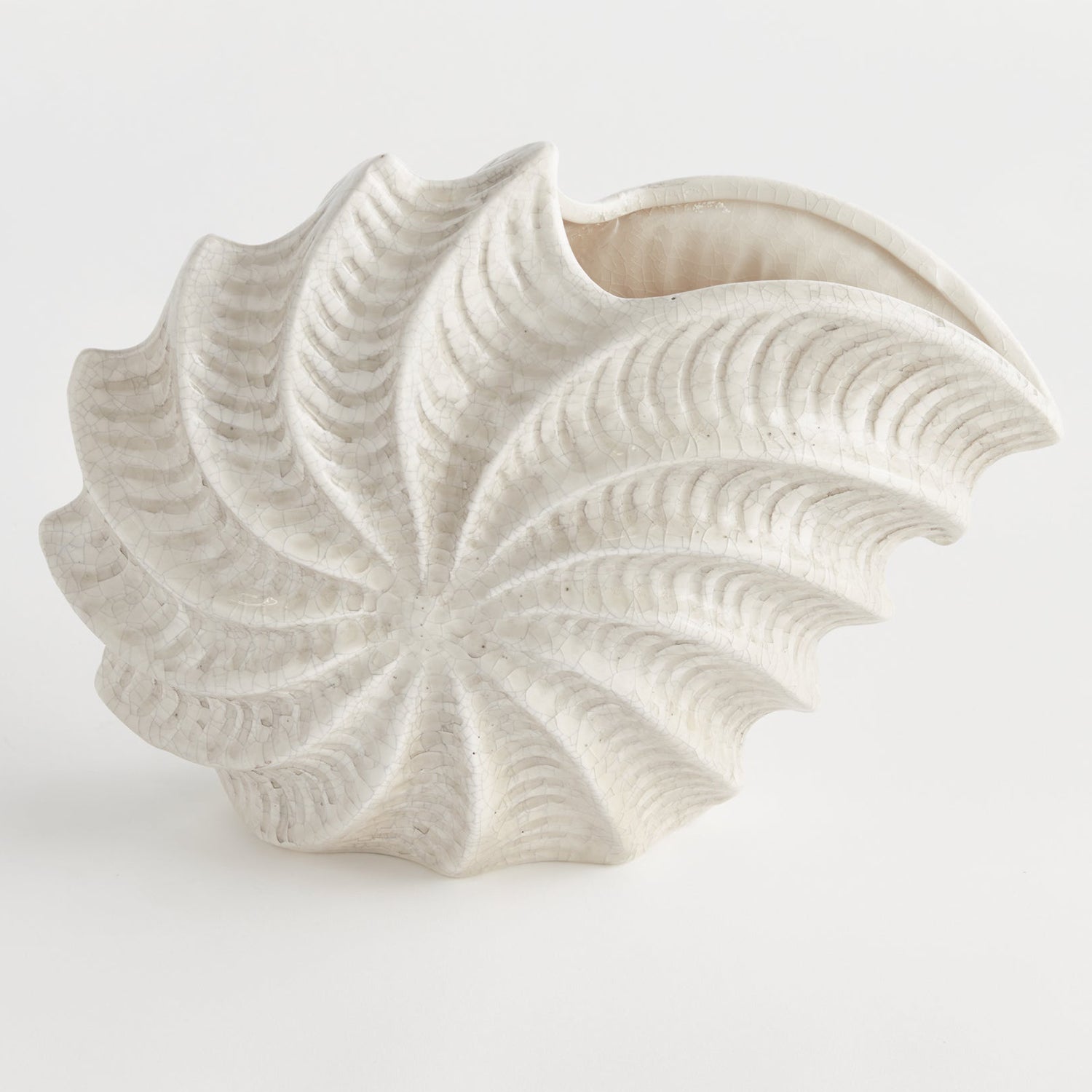 Nautilus Shell Vase