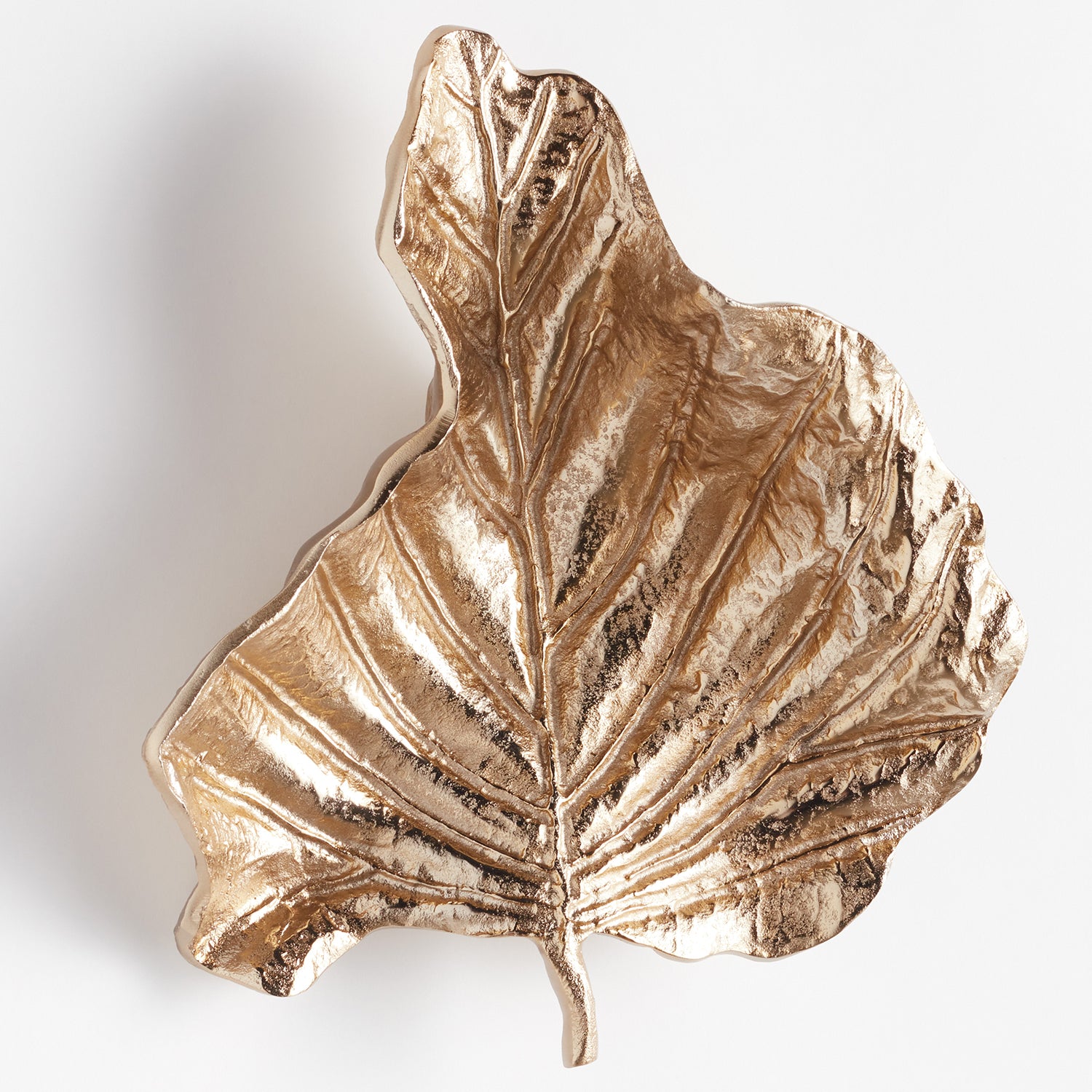 Colocasia Small Wall Art